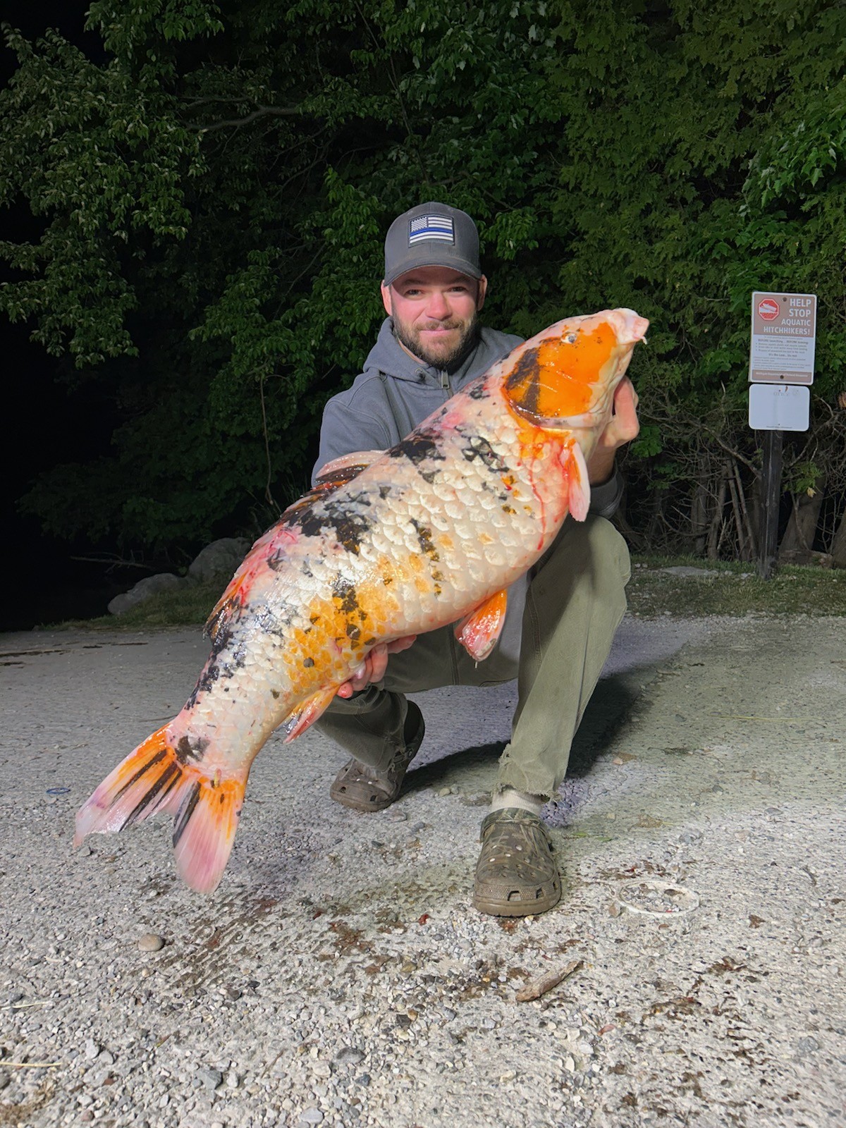 Bowfishers remove invasive koi from Glen Lake - mlive.com