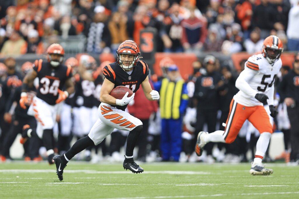 Cincinnati Bengals vs. Cleveland Browns, December 11, 2022