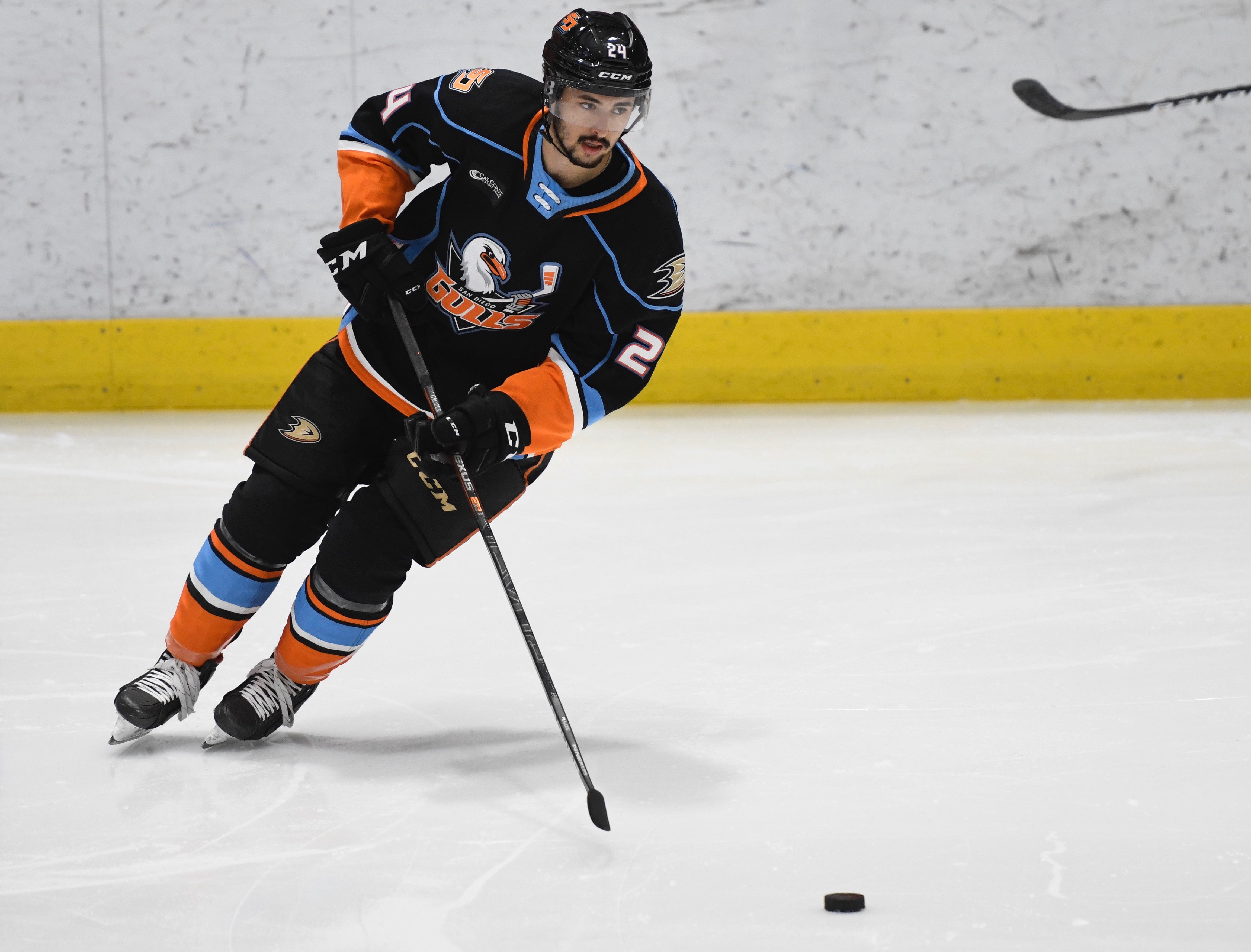 Gulls Split Preseason Series With San Jose