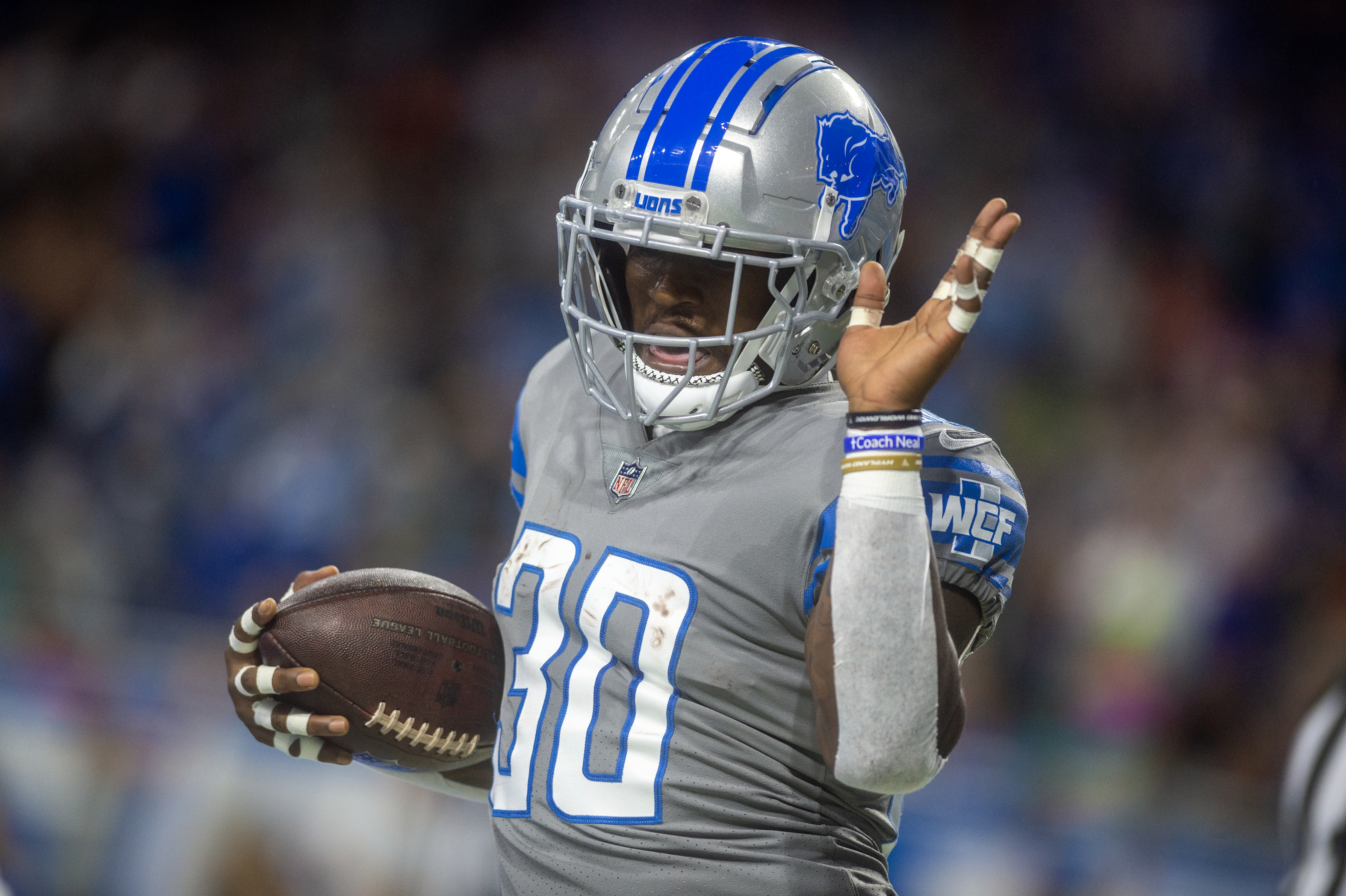 Detroit Lions fans hold up signs for third down against the