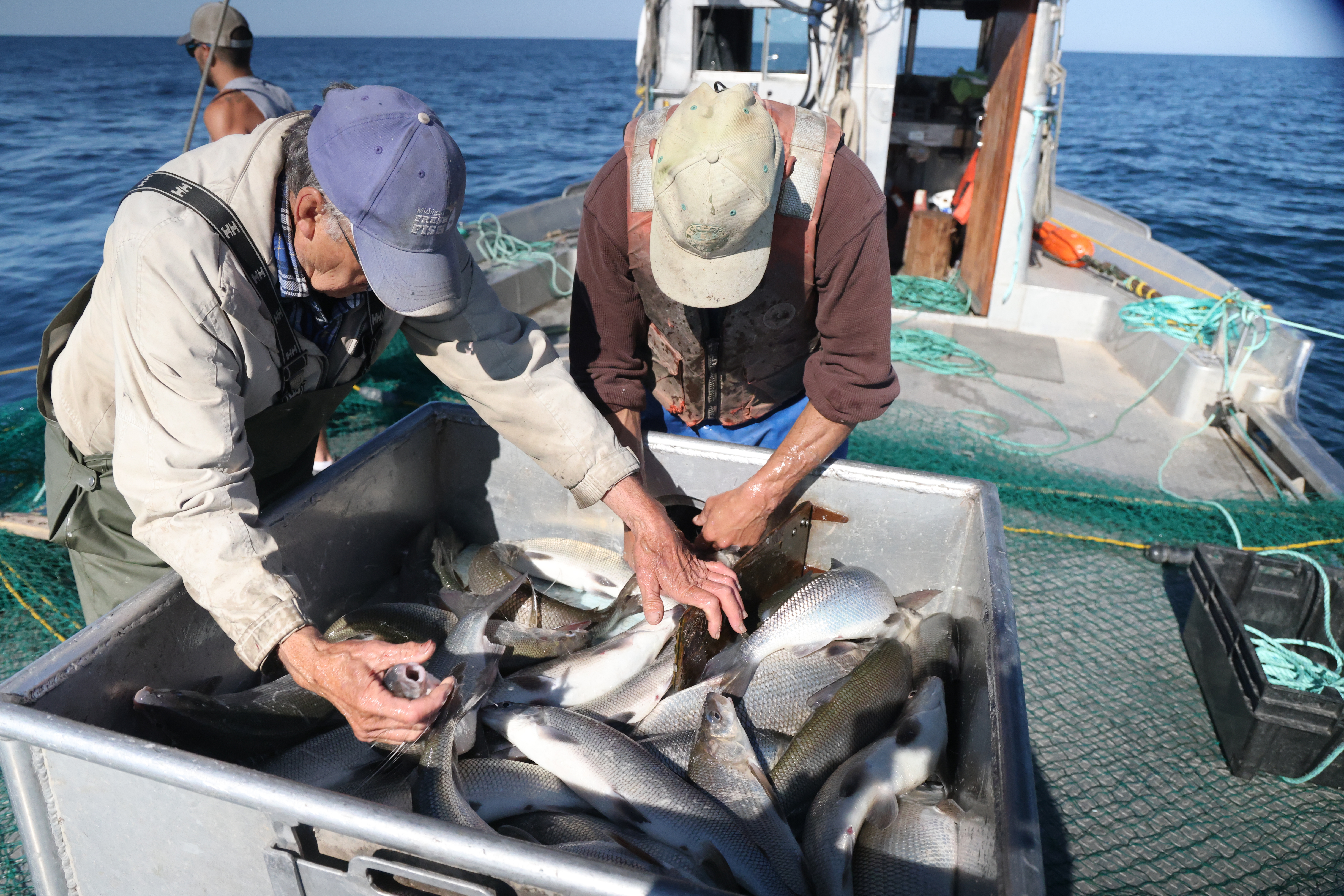 2019 fishing nets on saginaw bay New Saginaw Bay reef creates fish spawning habitat