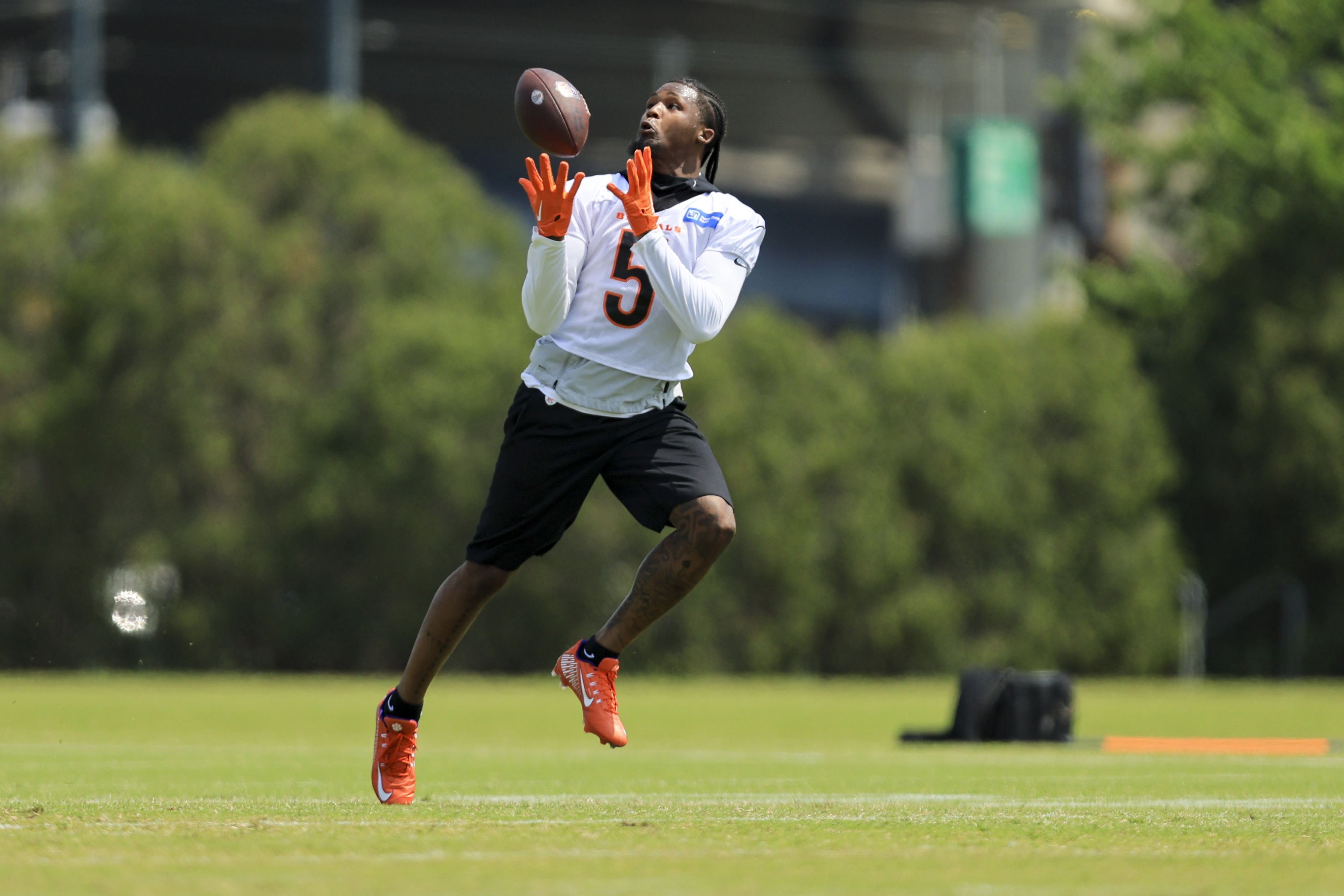 There Will Be a Big-Money Tee Higgins Contract Soon, but Not With the  Bengals