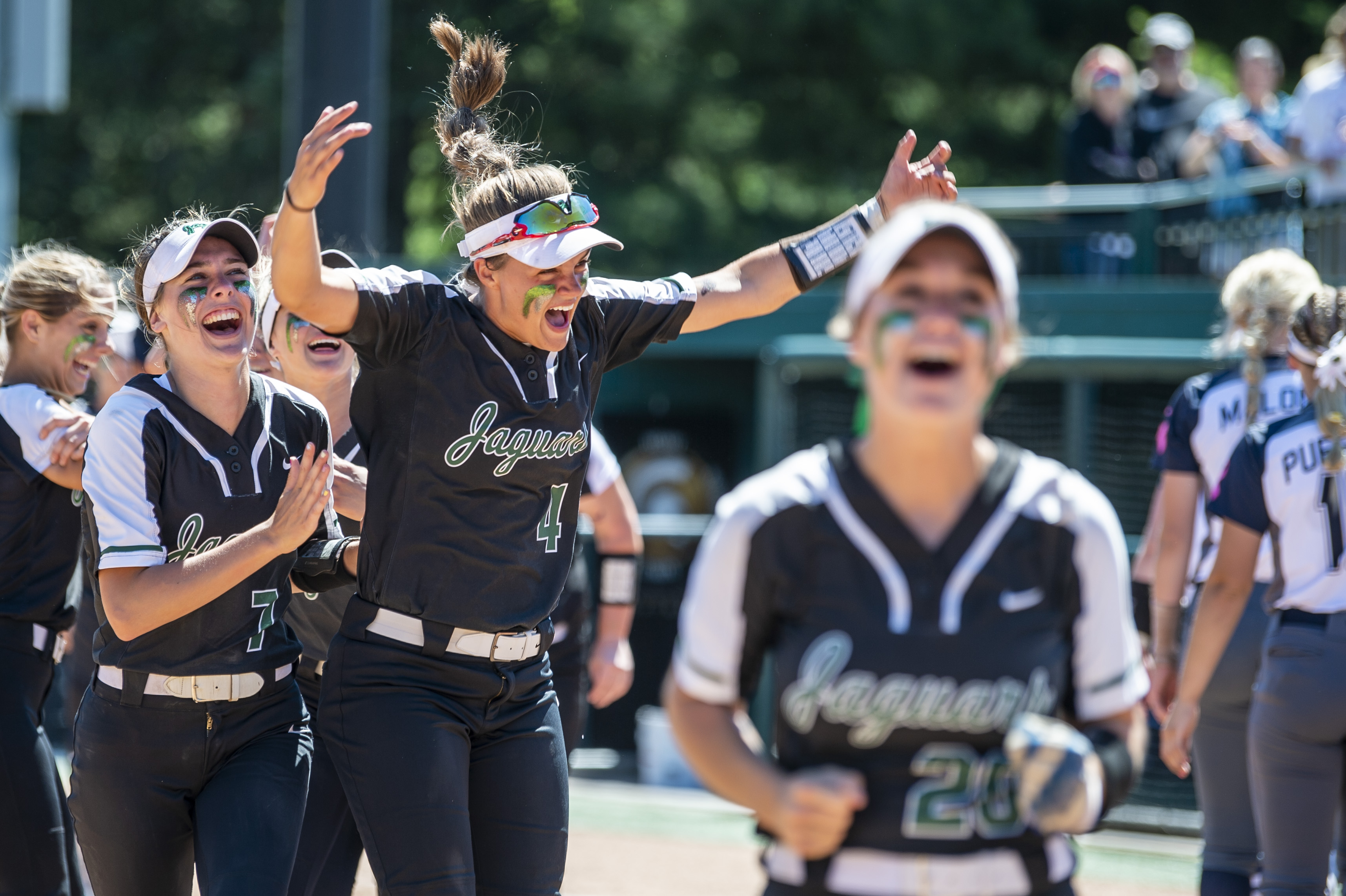 Allen Park softball claims Division 1 championship trophy over Macomb ...