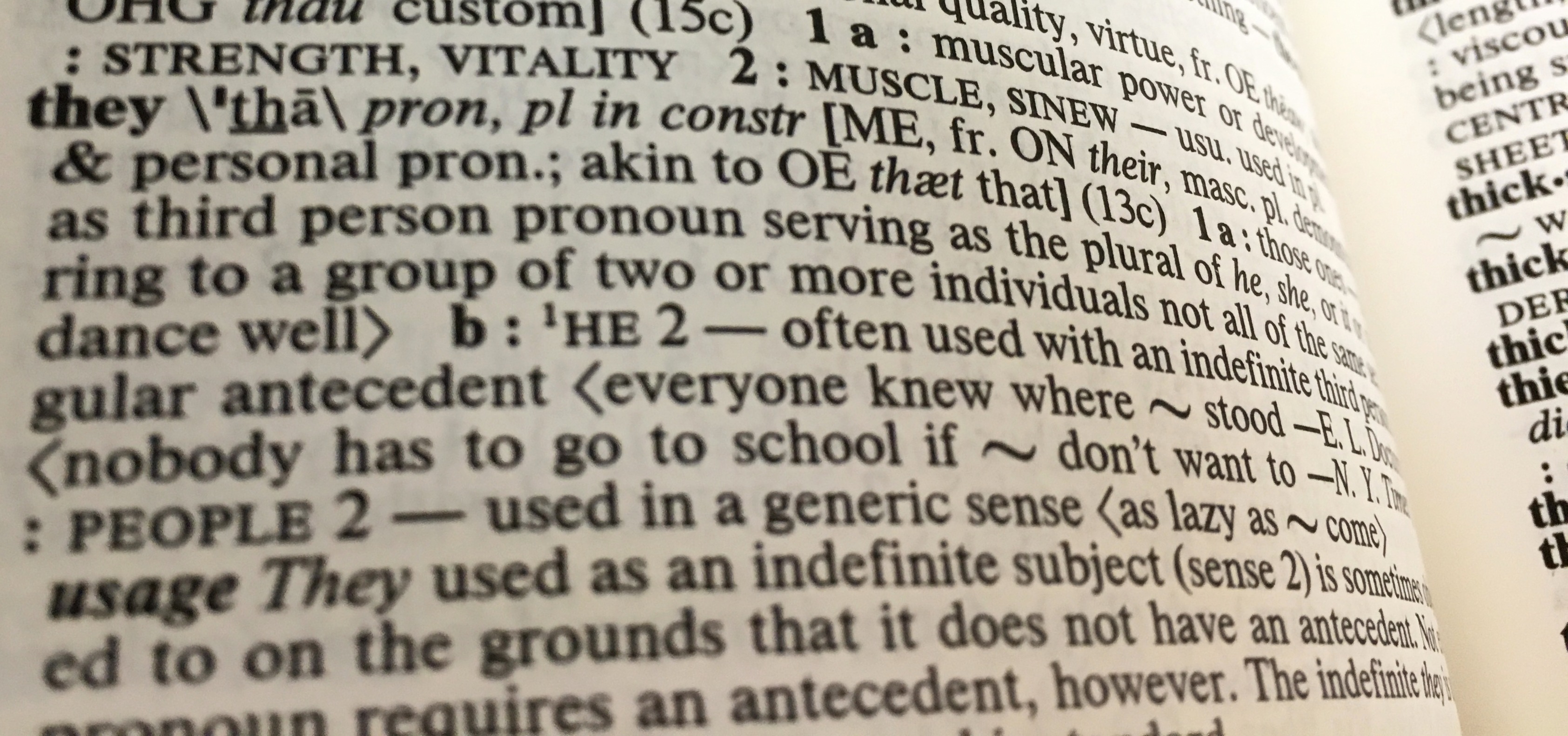 Booby Definition & Meaning - Merriam-Webster