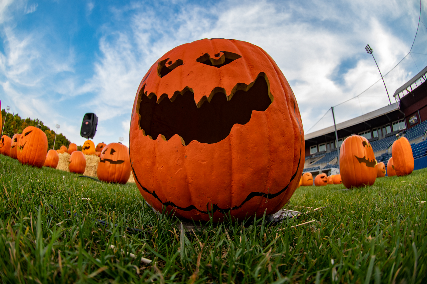 Hyperlocal JackOLantern
