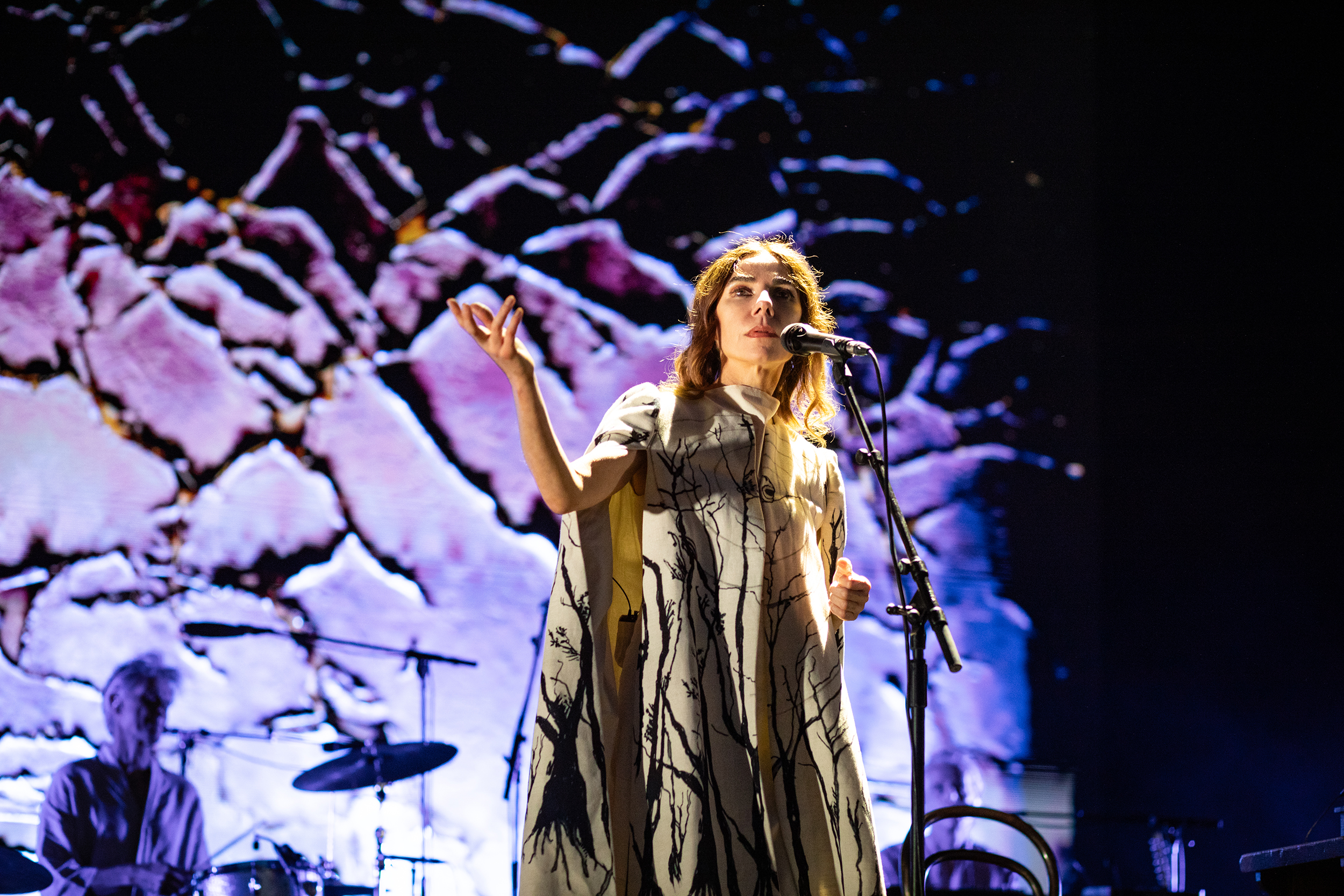 PJ Harvey announces new album after 2-year tour - syracuse.com