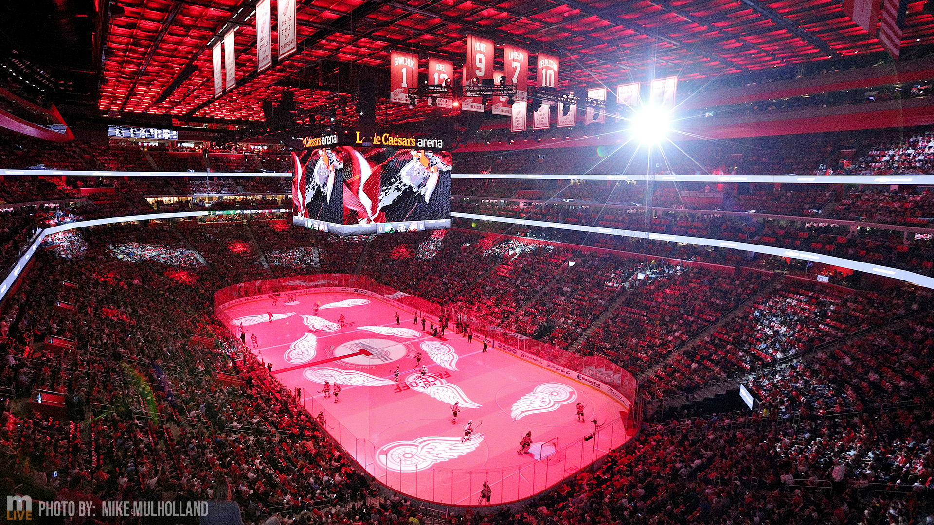 NHL DETROIT Red Wings 3D STADIUMView 6 x 19 Banner - Little Caesars Ar