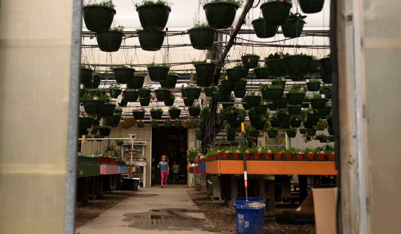 Willow Greenhouse prepares for another busy year