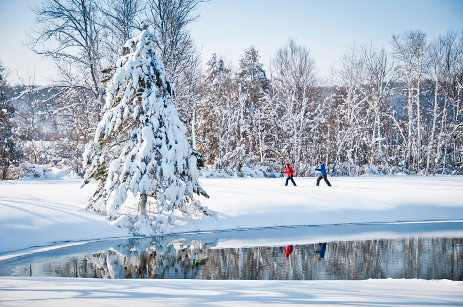 Winter Traverse City MI