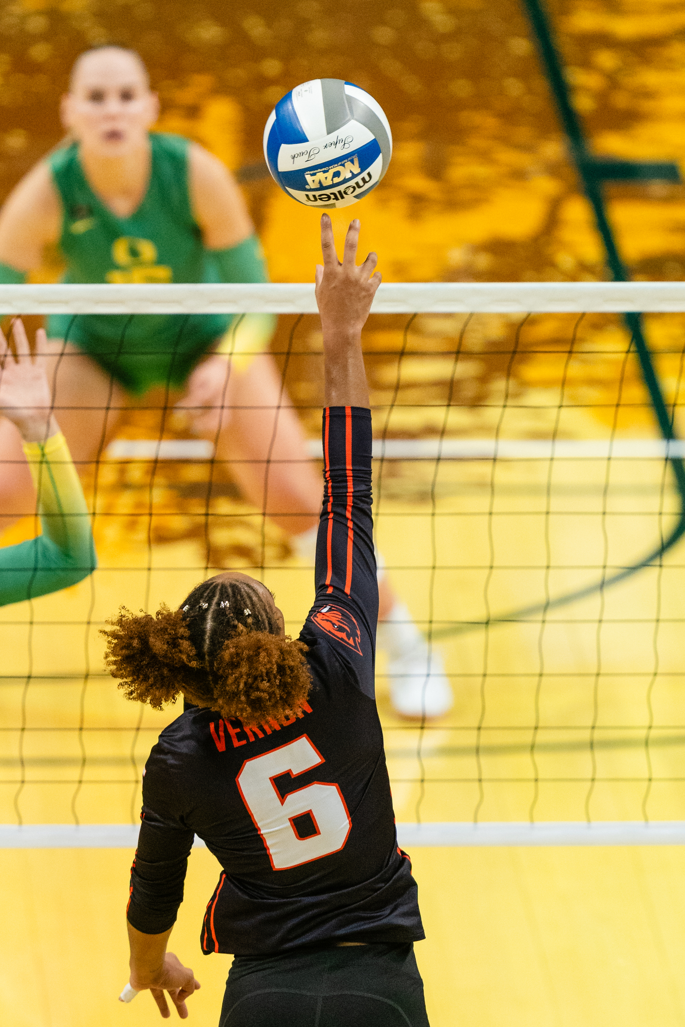 Oregon Ducks volleyball vs. Oregon State Beavers - oregonlive.com