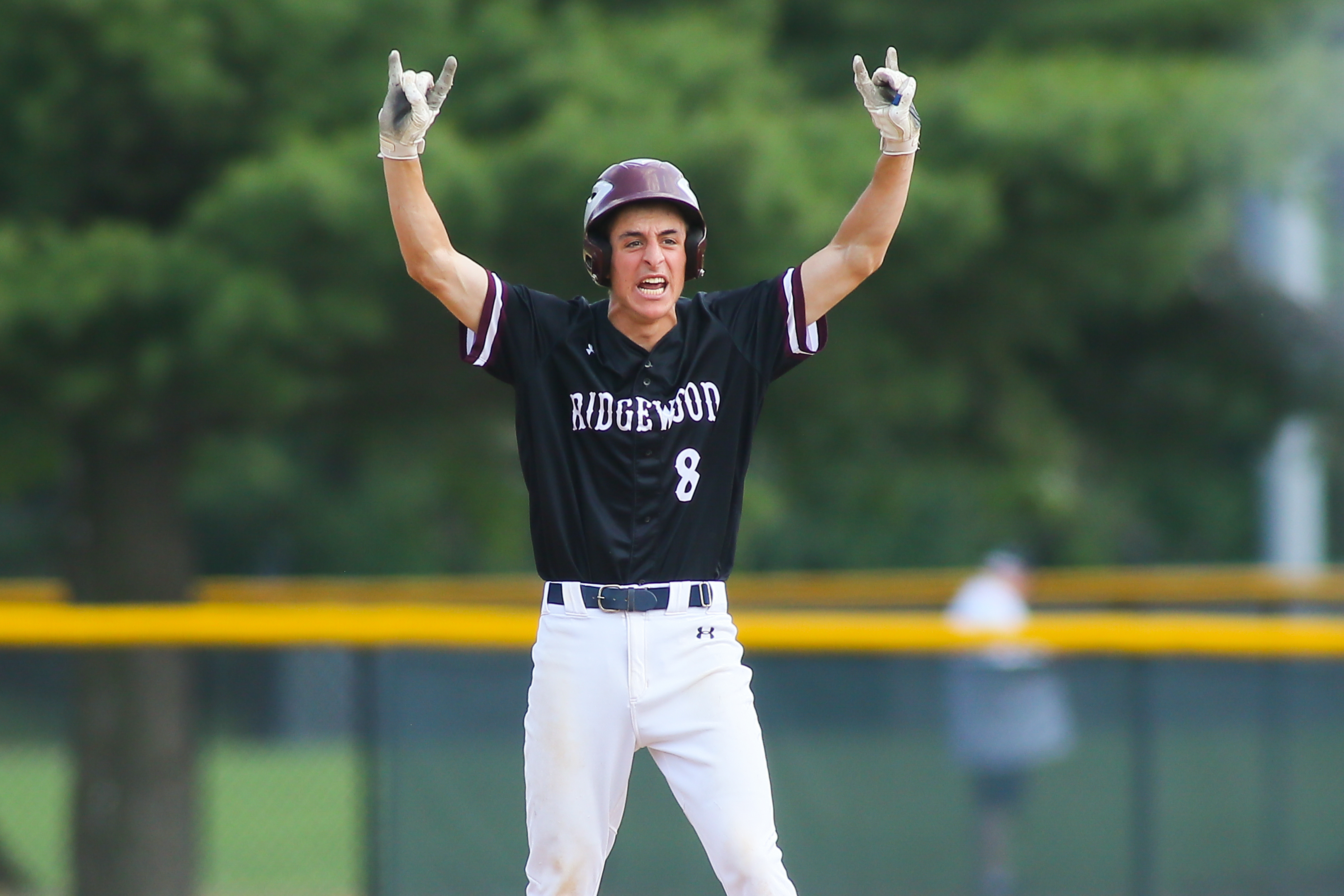 Ayden Hall pitches Dover to a Division I Sectional baseball title win