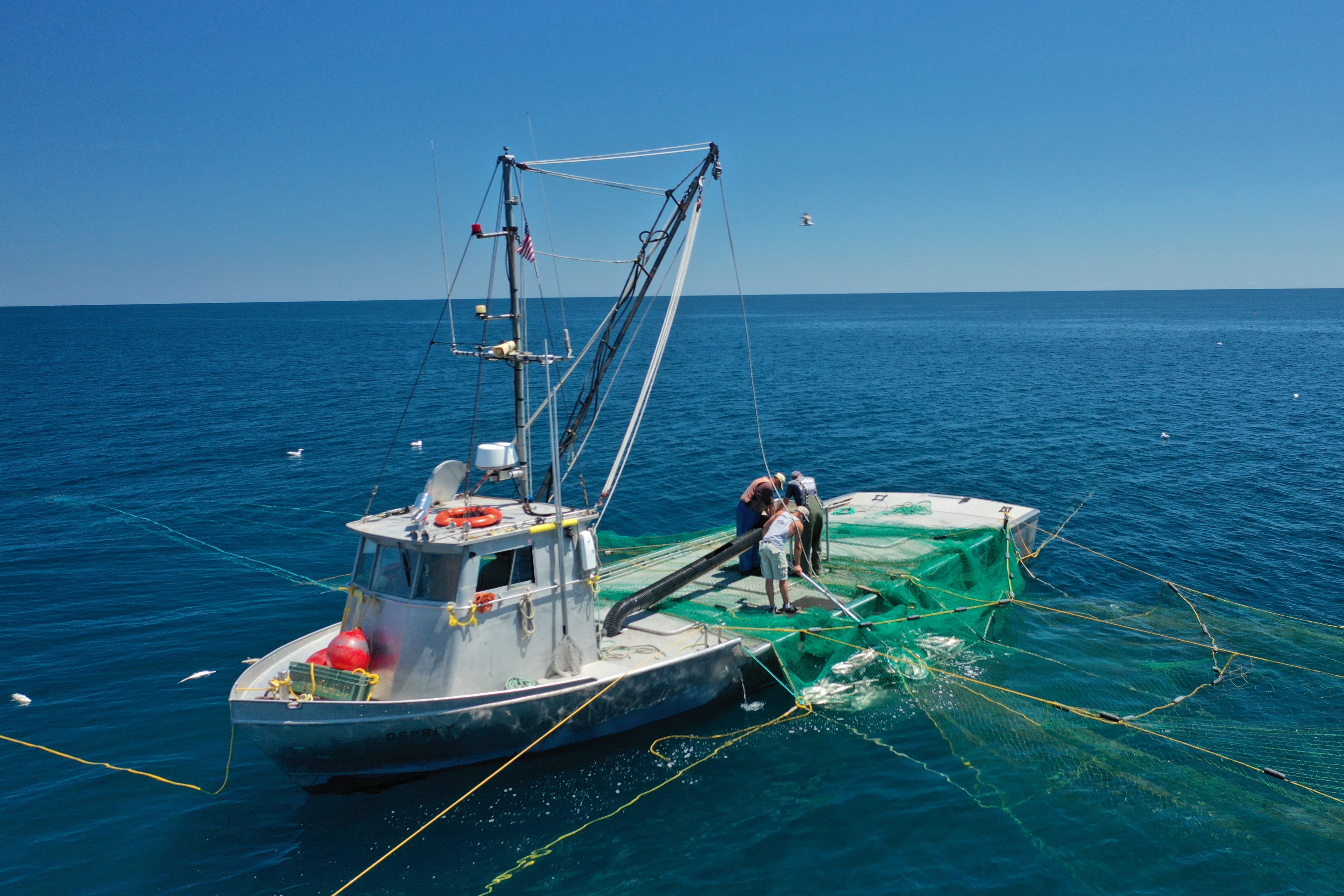Lawmakers weigh commercial fishing lifeline as whitefish decline - mlive.com