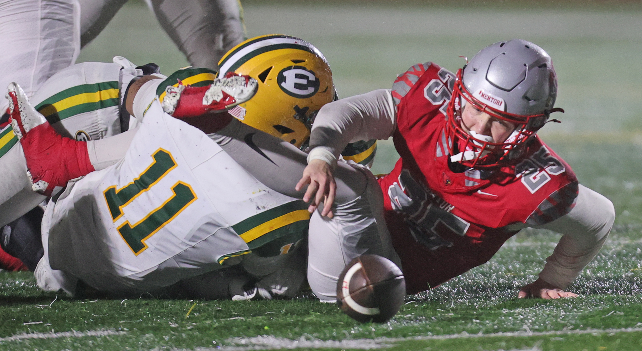 High school football playoffs Mentor vs. St. Edward in region final