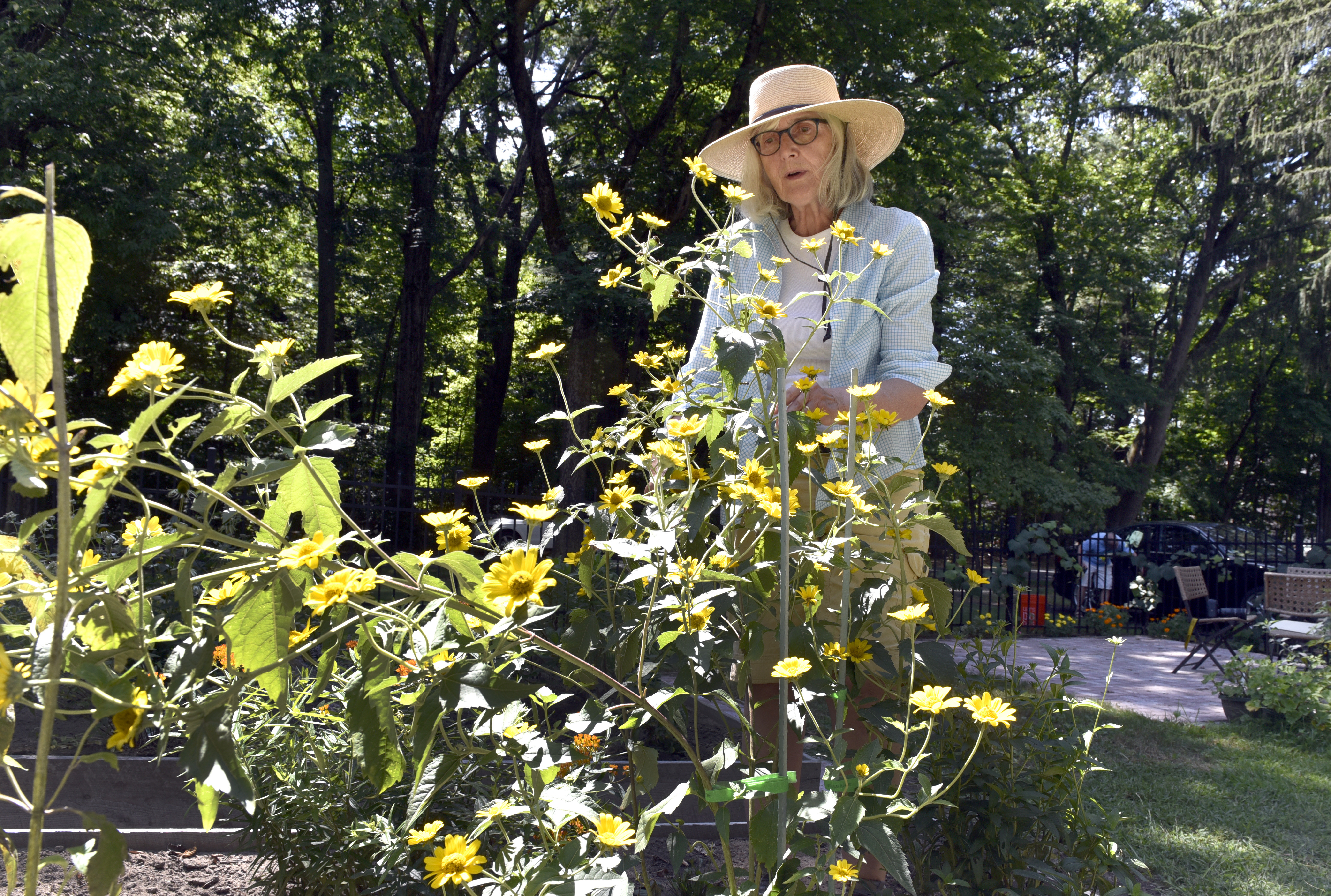Forest Park pollinator gardens - masslive.com