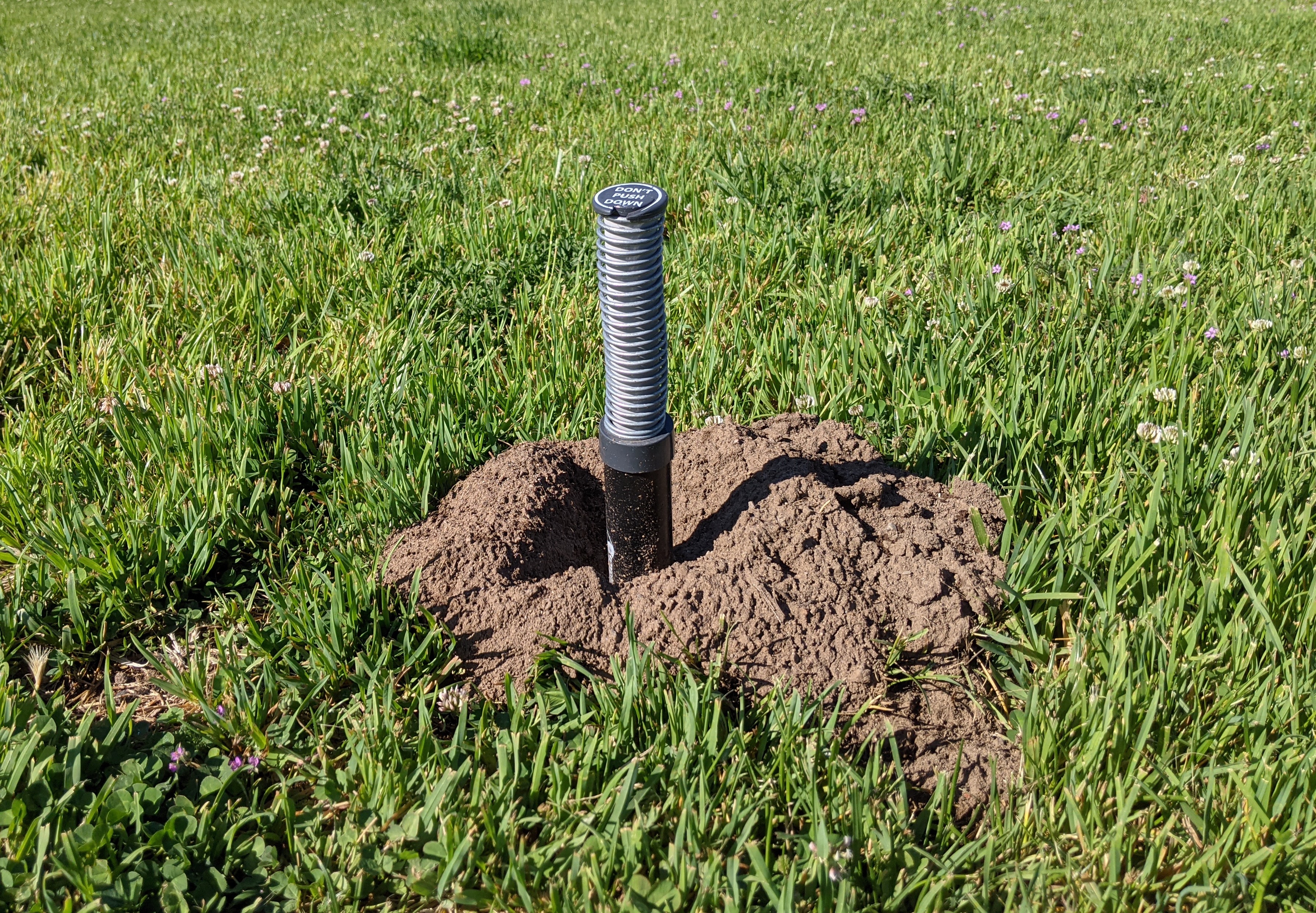 How to Fill Vole Holes in Yard: A Comprehensive Guide