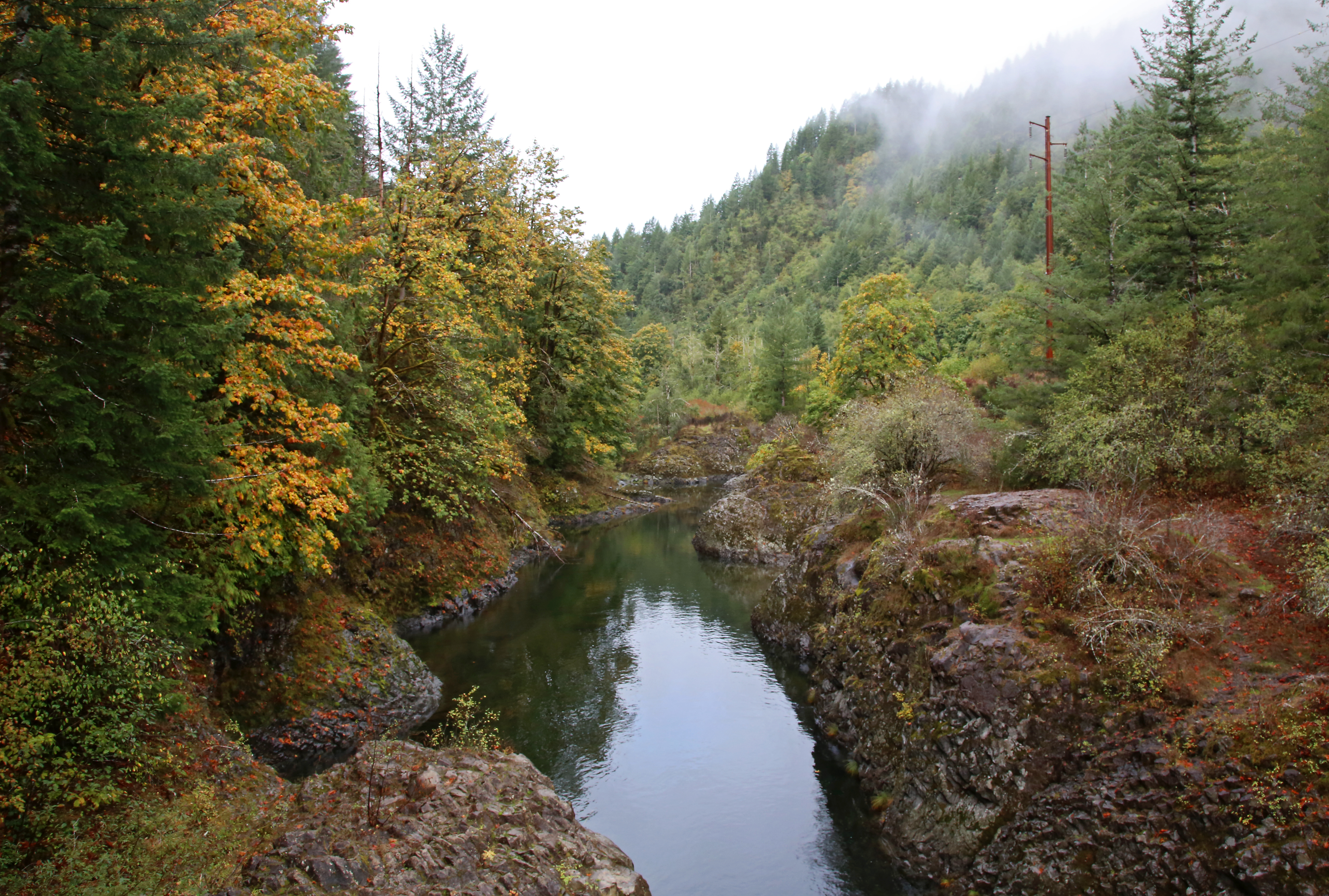 How to explore the Wilson River Trail a hiker s paradise in the