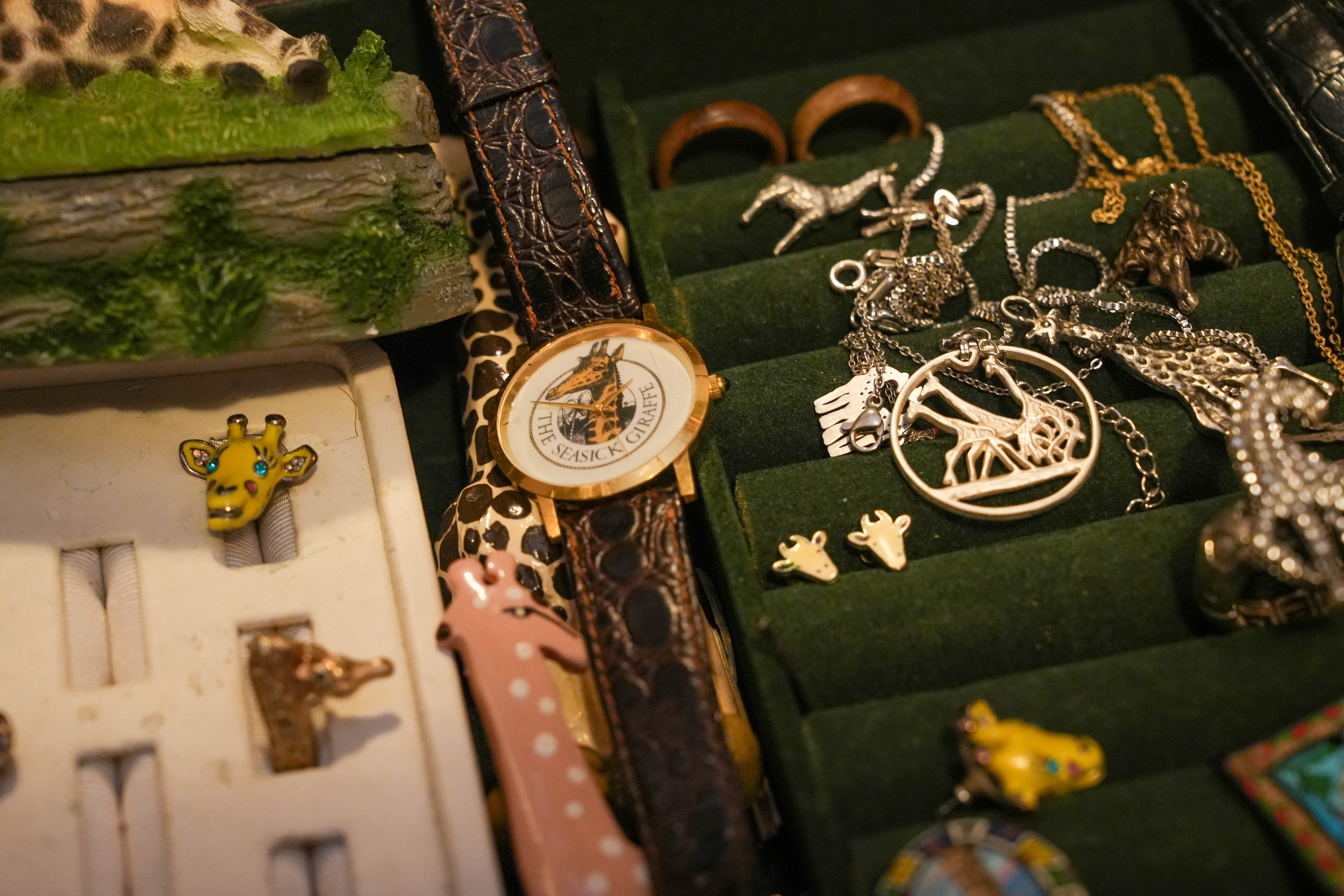 Portland's Giraffe House - oregonlive.com