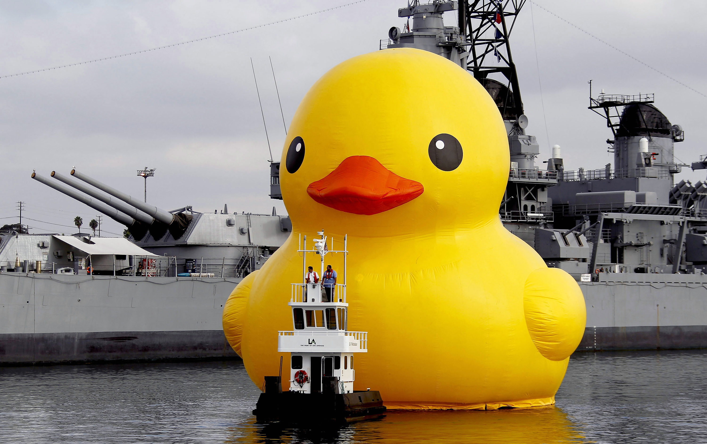 World's largest' rubber duck visits New York: Here's where to see