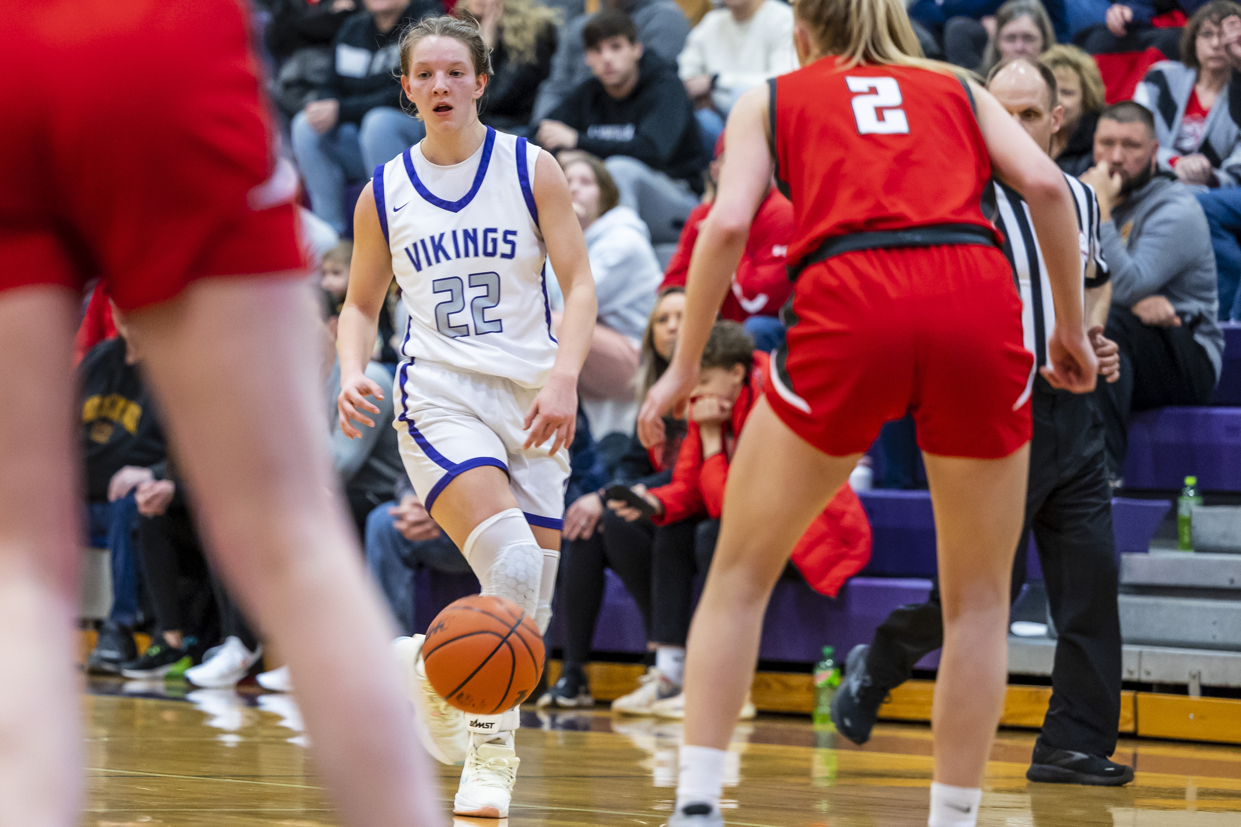Swan Valley girls basketball hosts Frankenmuth in district final game ...