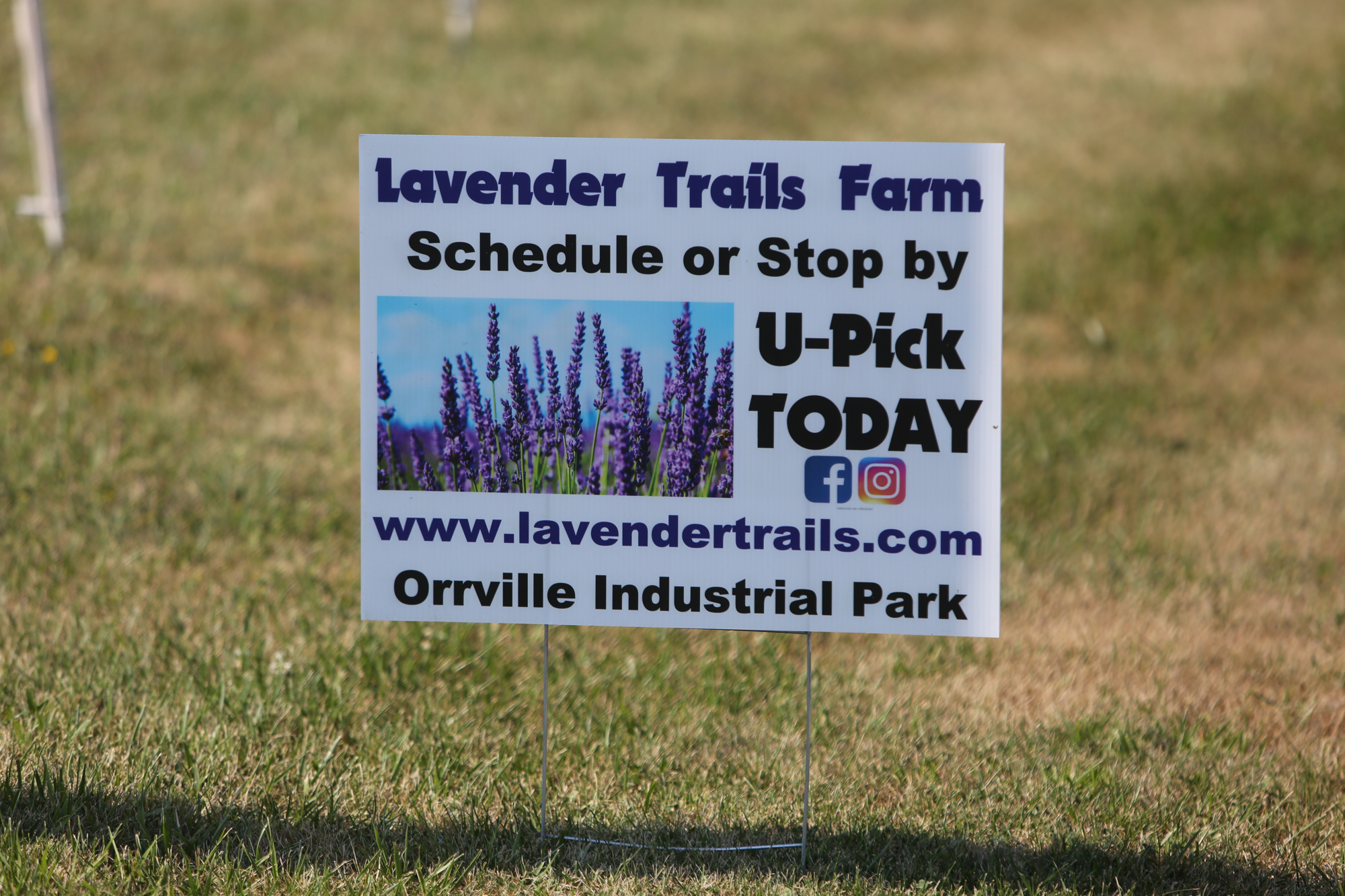 Lavender Trails Farm in Orrville