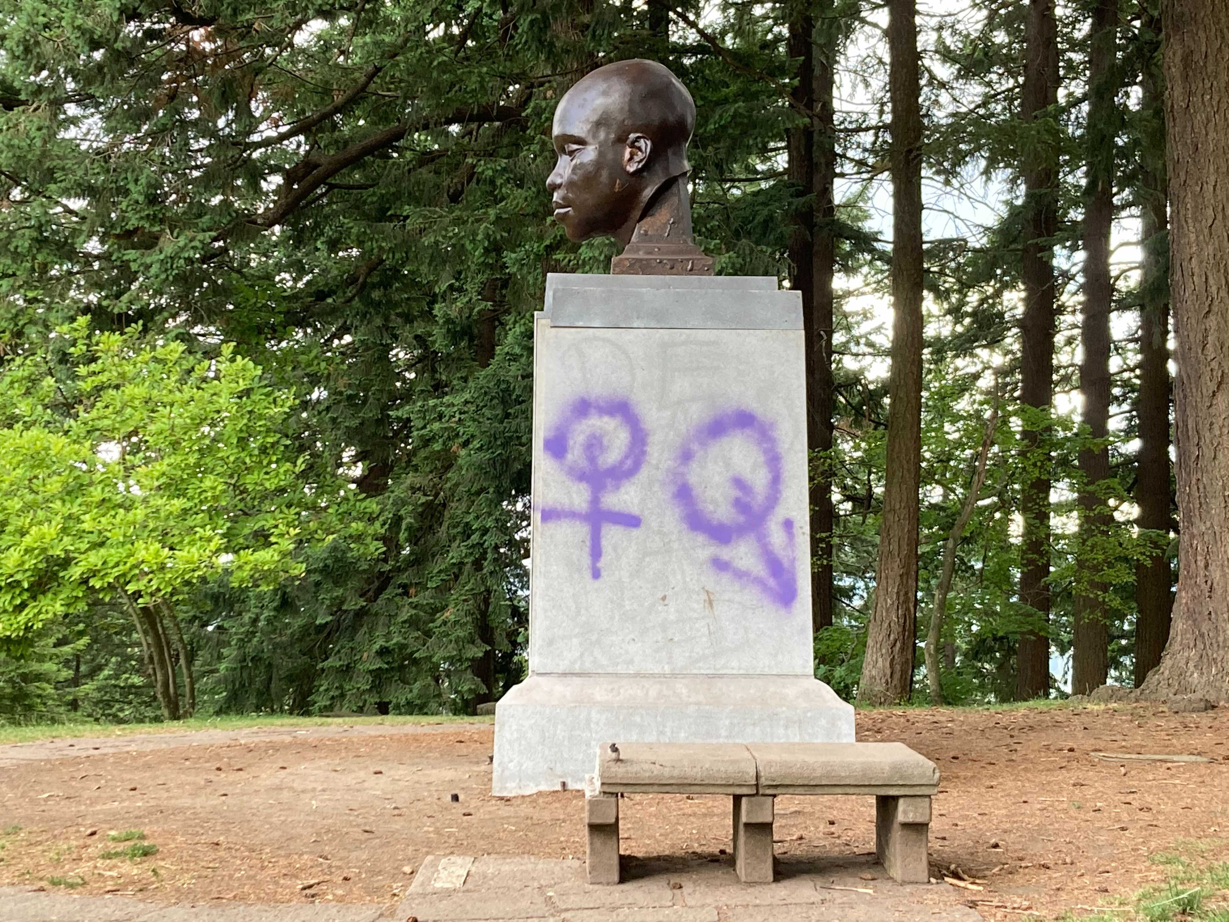 Mount Tabor 🌋 Portland Beavers from Sneaker Politics! : r/neweracaps