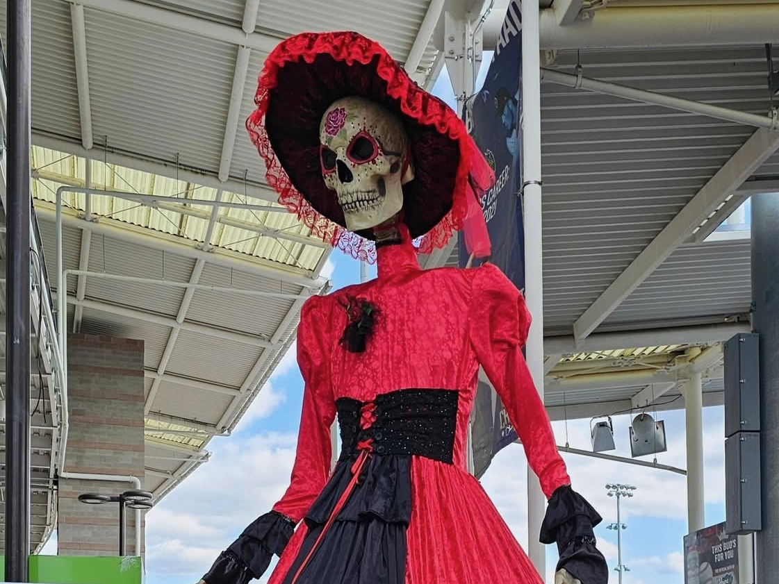 la catrina dress La ROSA Gown --Made to order Catrina dress , Quince or Theme Weddings