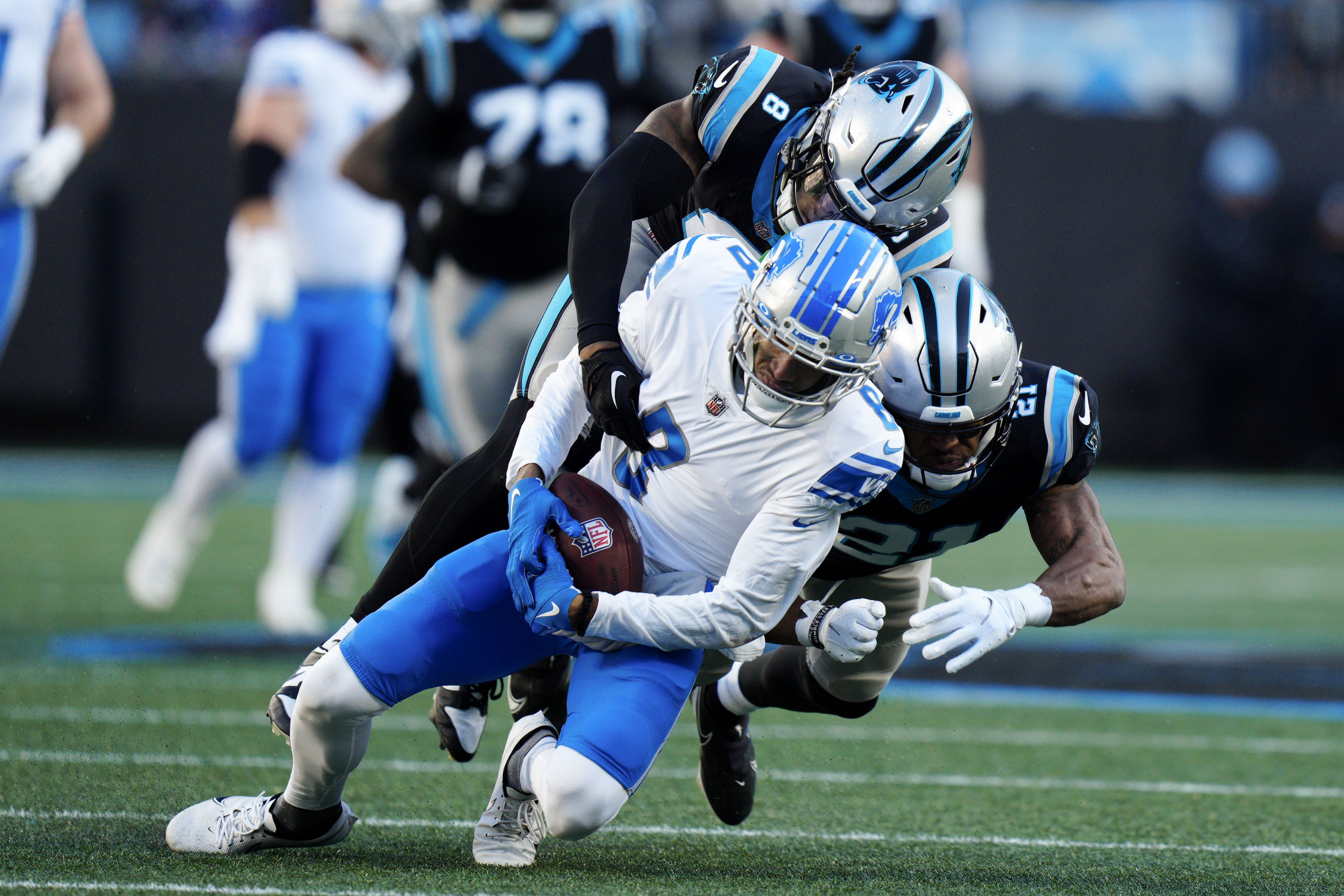 Lions playoff chances: Can Detroit make playoffs after Week 16 loss to  Panthers? - DraftKings Network