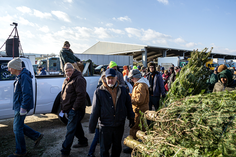 World’s largest Christmas tree auction at Buffalo Valley Produce Auction