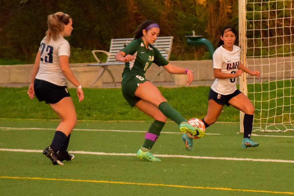 2016 H.S. boys' and girls' soccer preview capsules