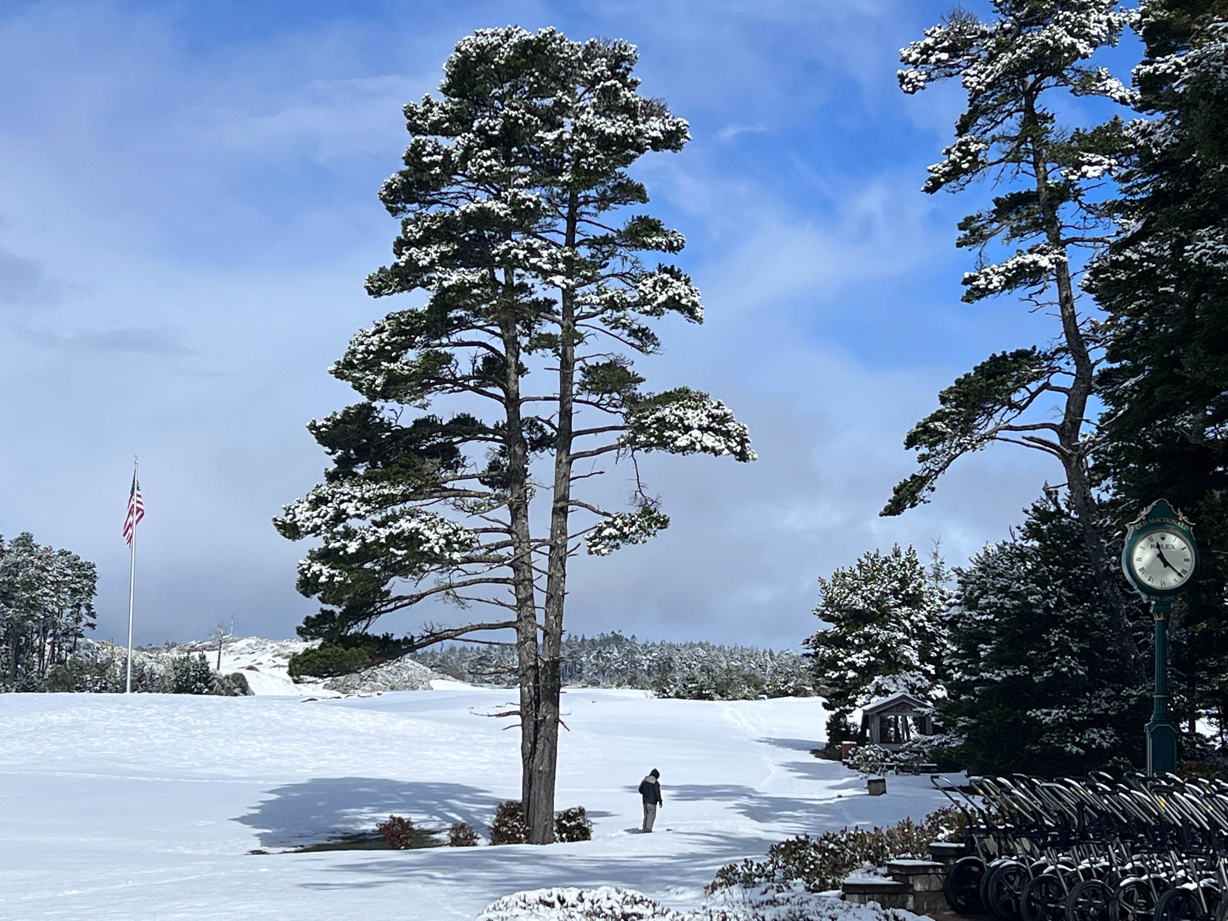 Rare snowfall hits Oregon coast - oregonlive.com