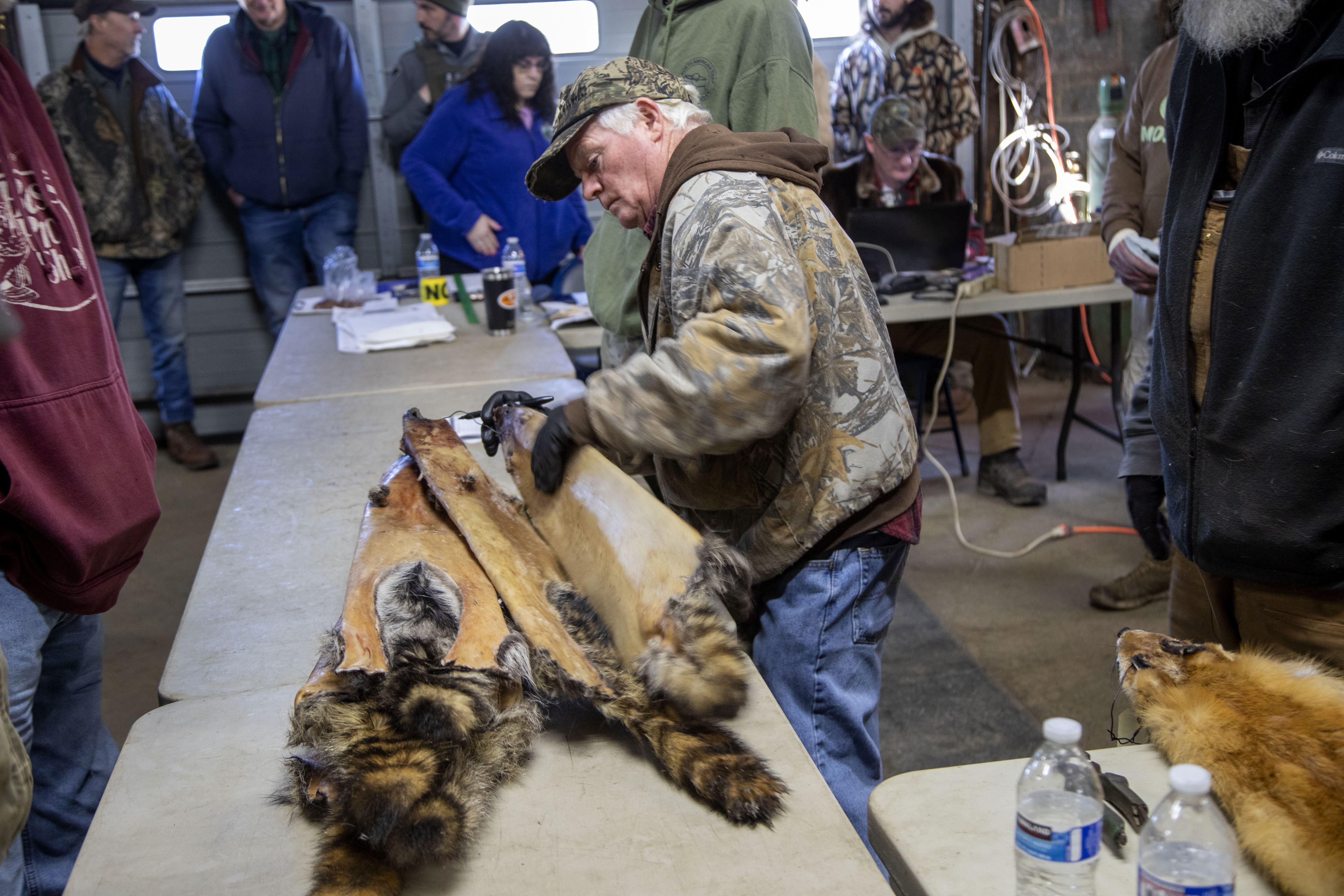 NJ Trappers Auction - nj.com