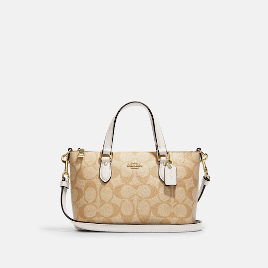 Coach Mini Darcie Carryall in Signature Canvas with Floral Applique