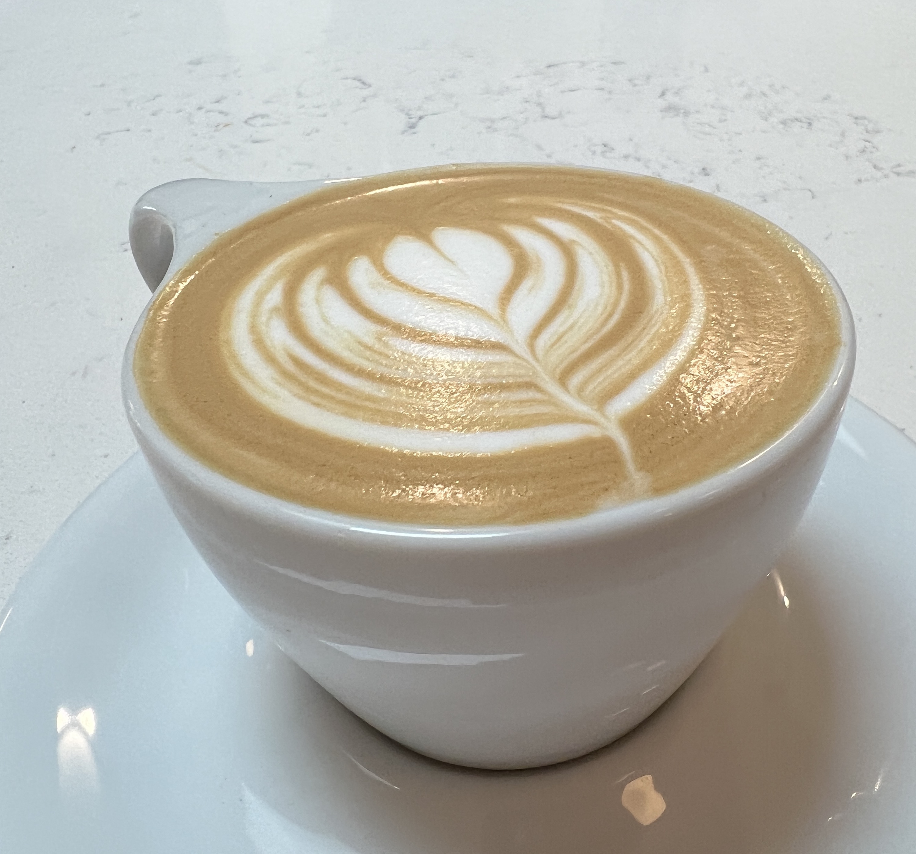 Rising Phoenix Coffee returns to Lakewood with new location photos