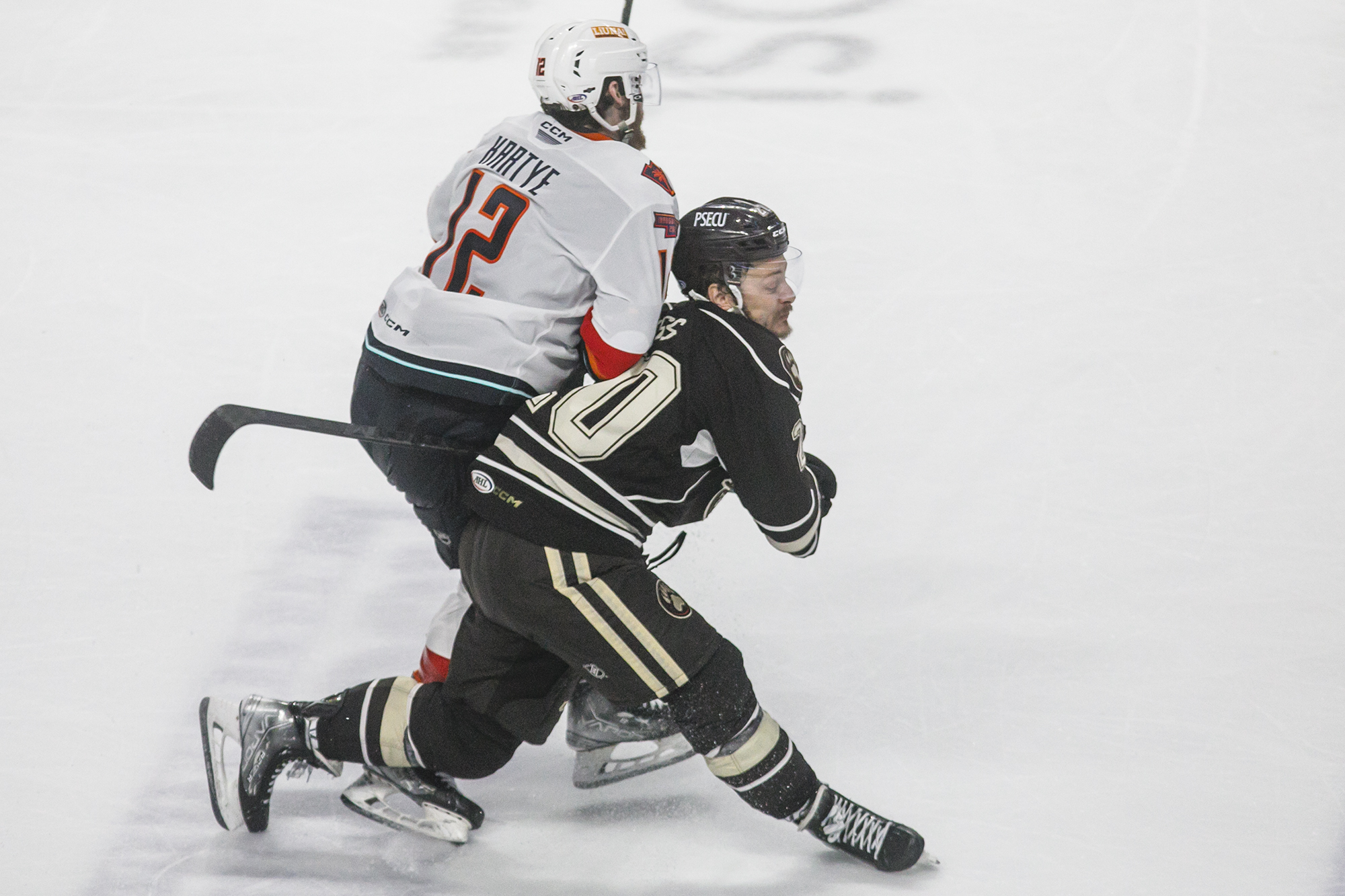 Calder Cup Finals: Firebirds fall to Hershey Bears, series tied 2-2