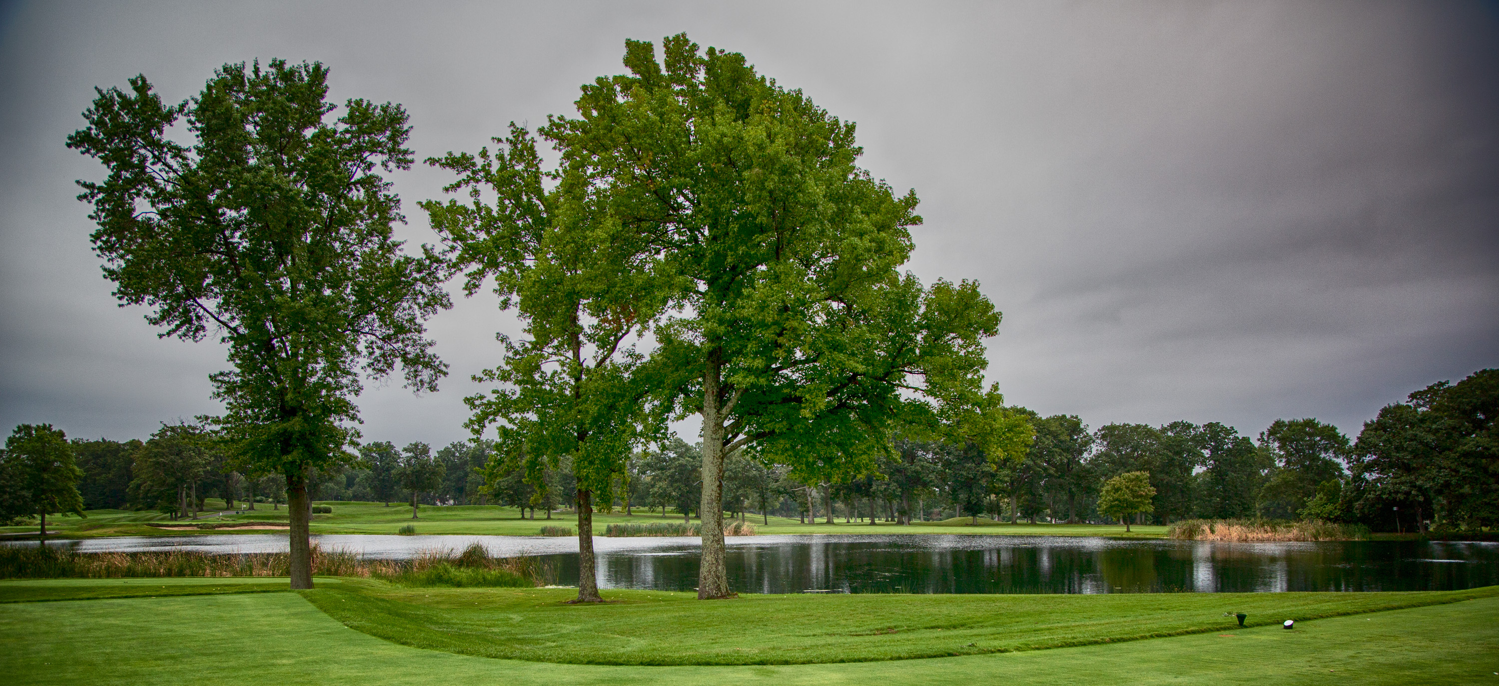 ☆87☆ NINJOR GOLF NJ± Amazon.com : NINJOR GOLF(Ninja Golf) NJ Mini Series Golf
