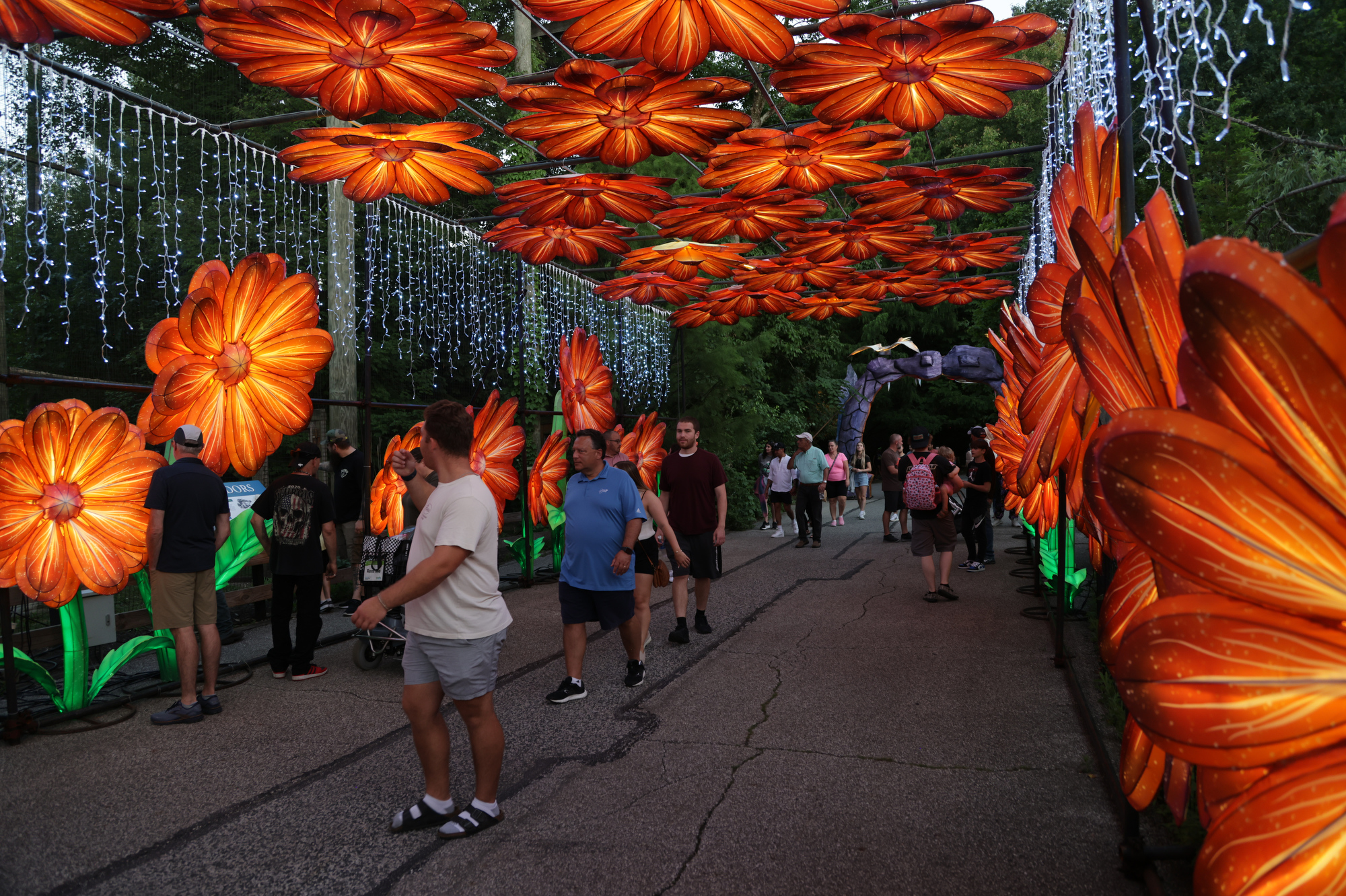 Cleveland Metroparks Zoo extends Asian Lantern Festival into
