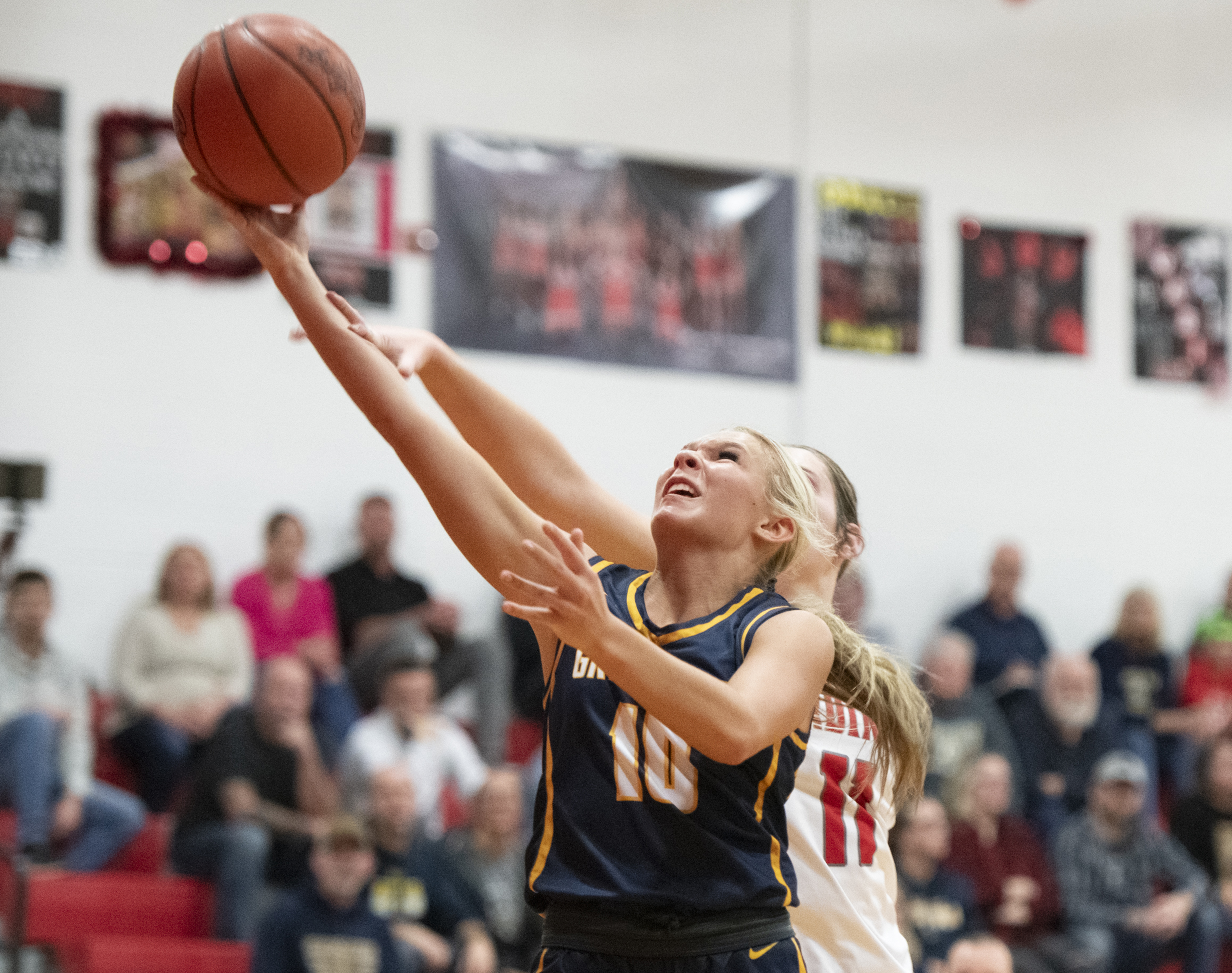 Michigan Center hosts Grass Lake in girls basketball - mlive.com