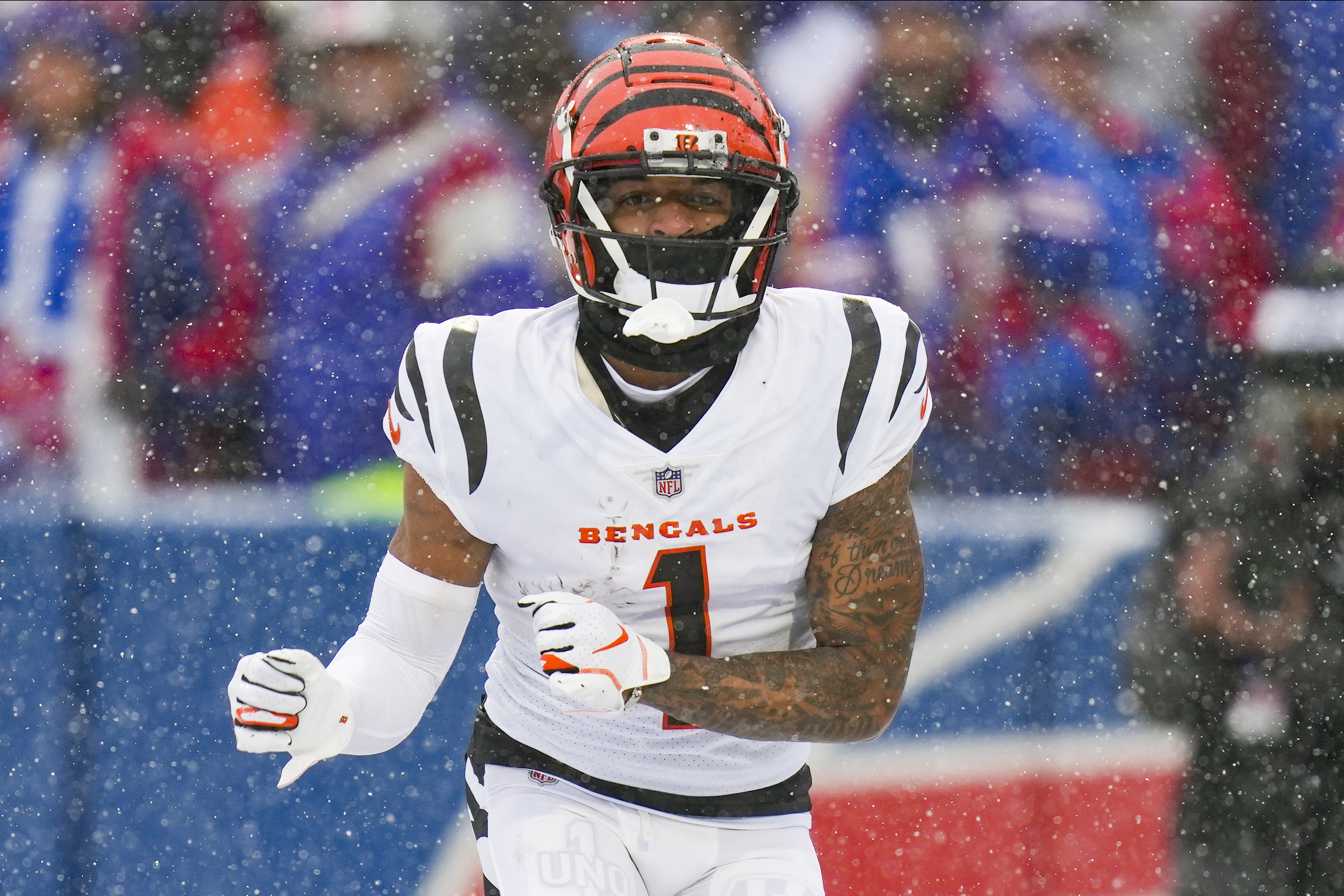 Bengals rout Bills to return to AFC championship game – Orange County  Register