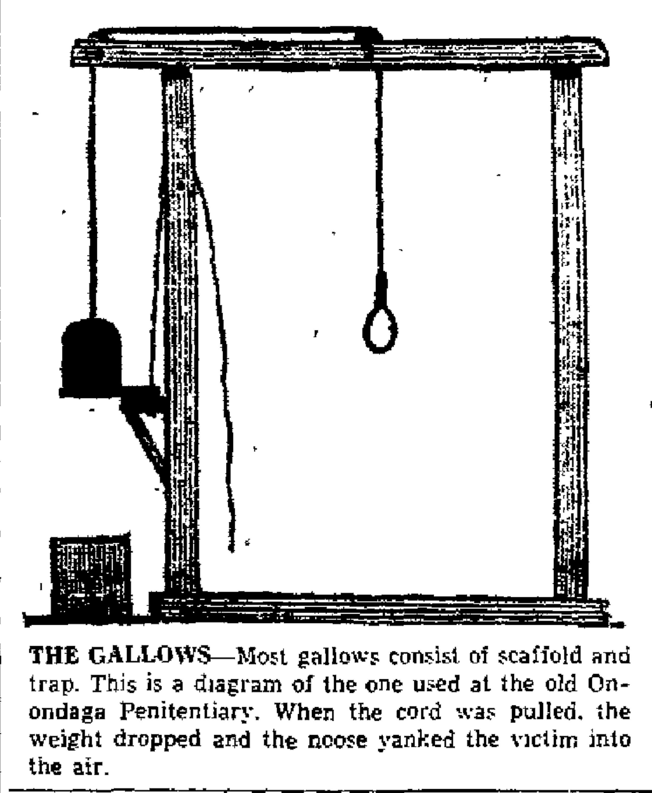 File:National Museum of Crime and Punishmen - Hangman Rope from Don Jail  1915 (2869481808).jpg - Wikipedia