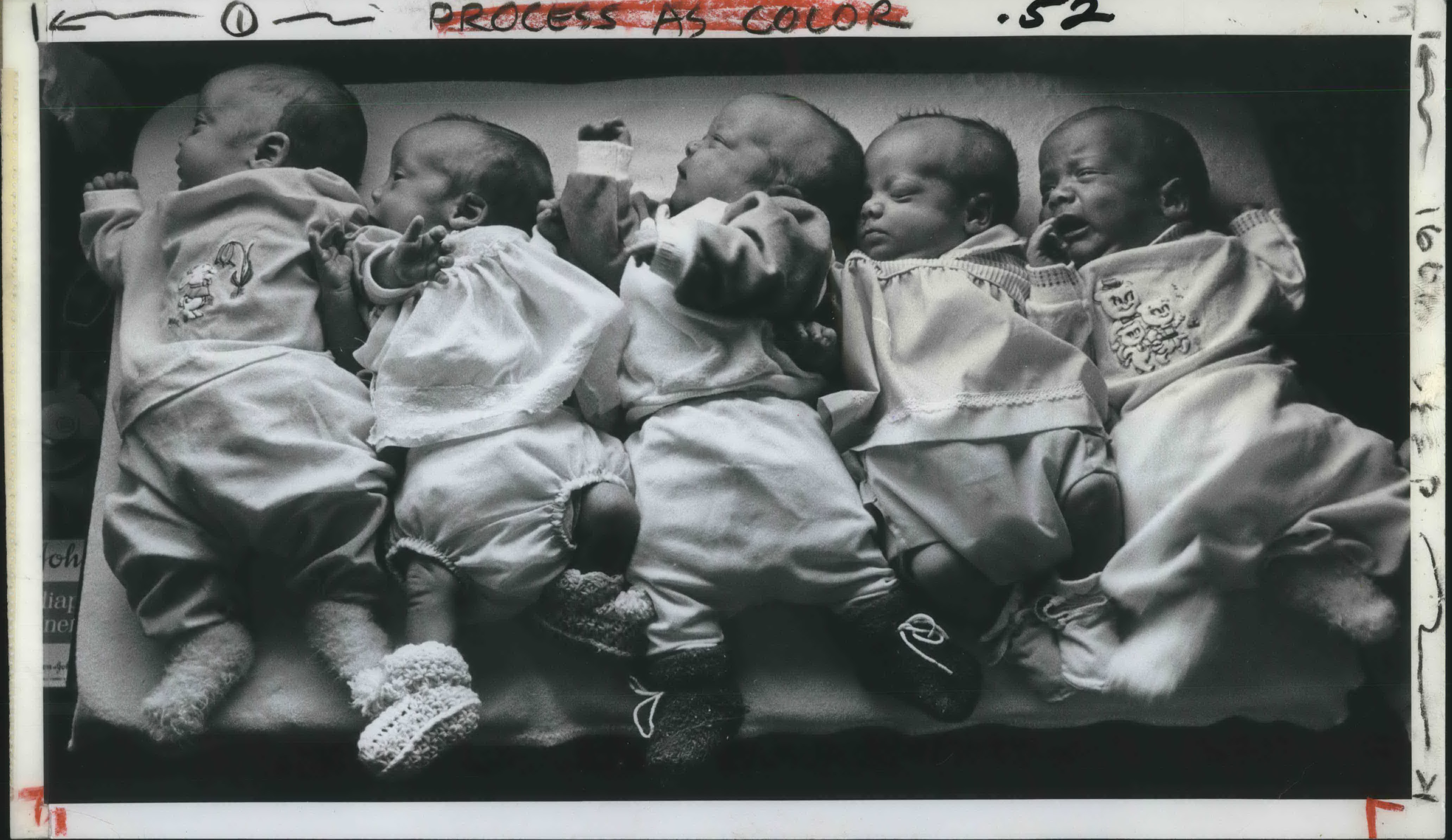 Scott Quintuplets: Their Net Worth Will Change Your Perspective - u5rln1e