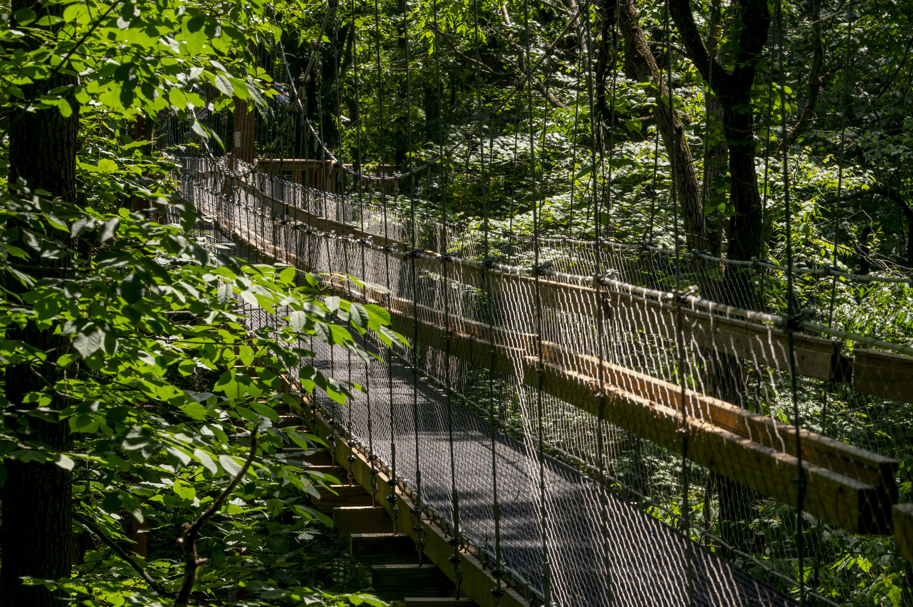 Hidden Lake Gardens MSU (@hiddenlkgardens) / X