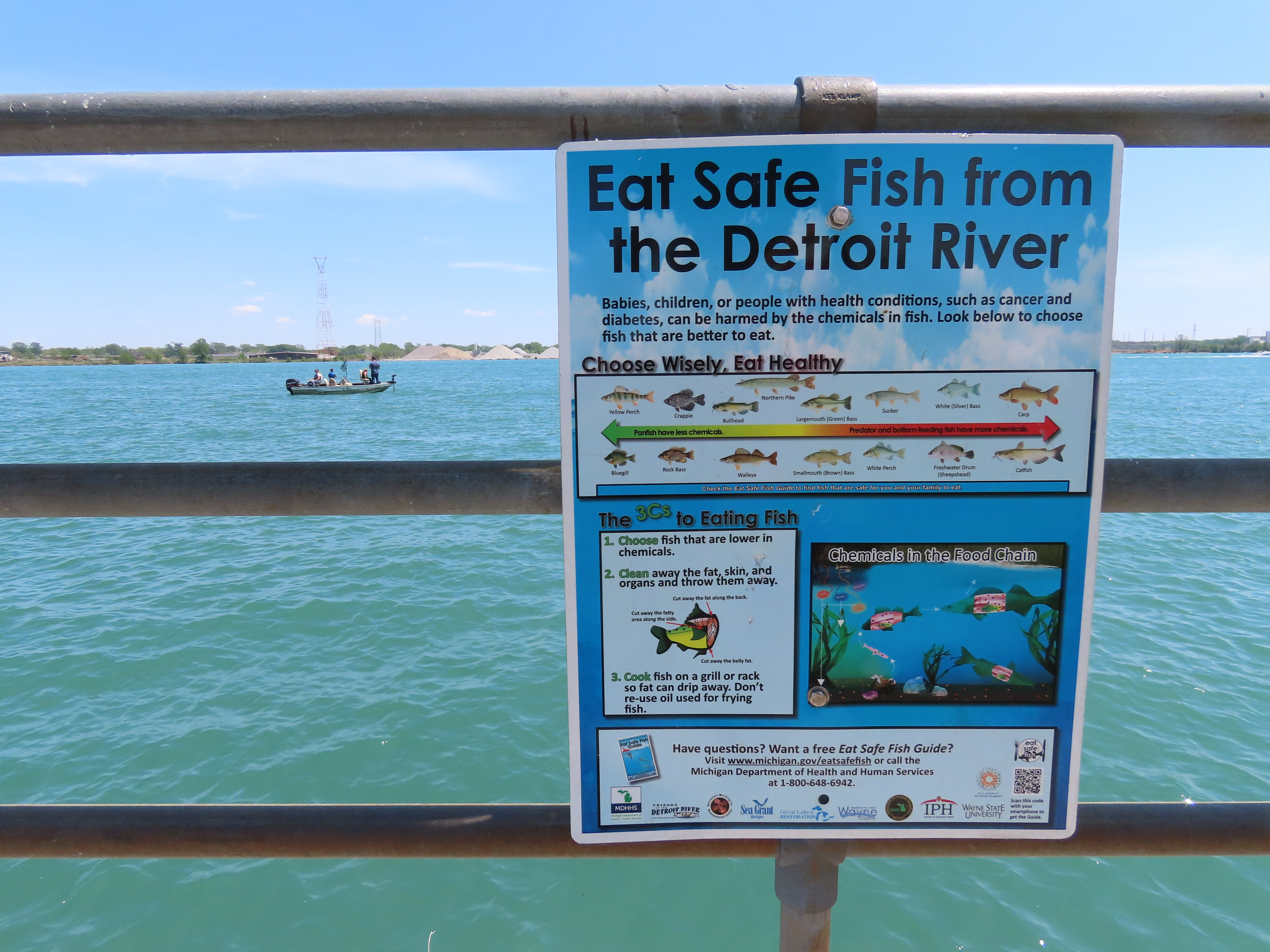 CuriosiD: How do you catch fish in the Detroit River? And are they safe to  eat? - WDET 101.9 FM