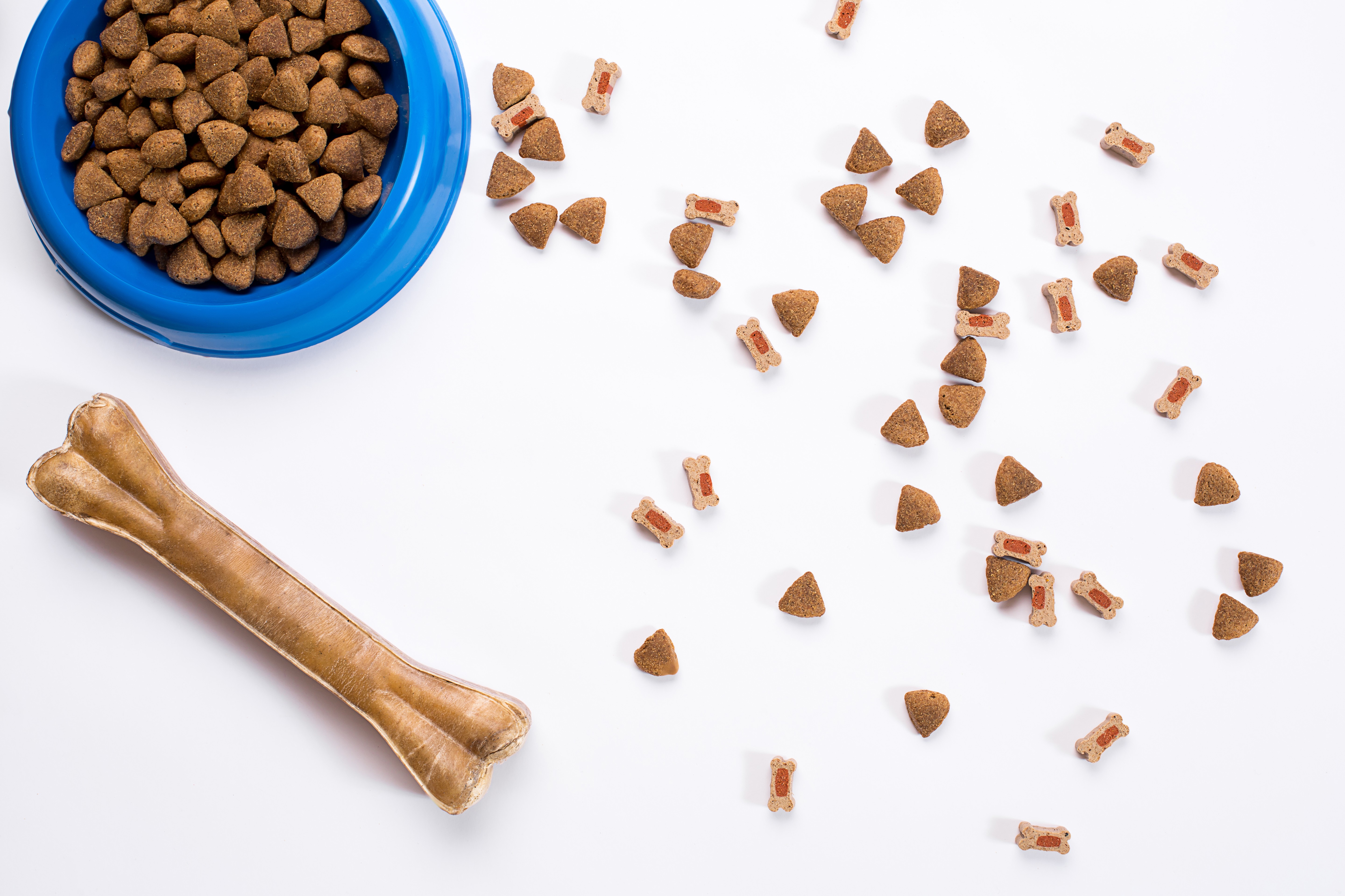 Dog food brands that cause heart disease fashion