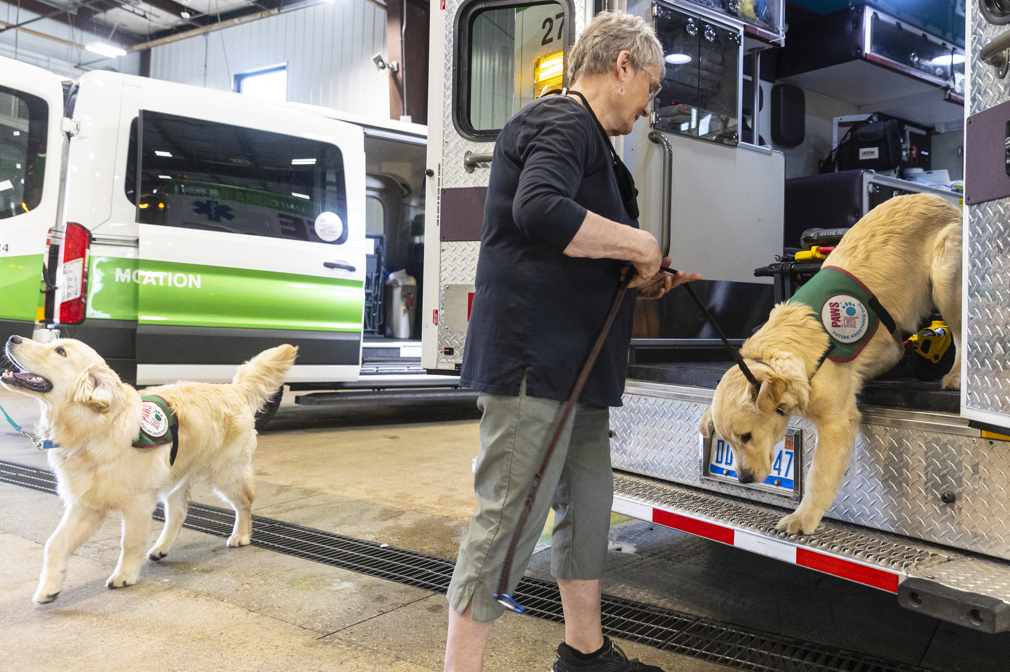 PAWS puppies get acclimated with ambulances - mlive.com
