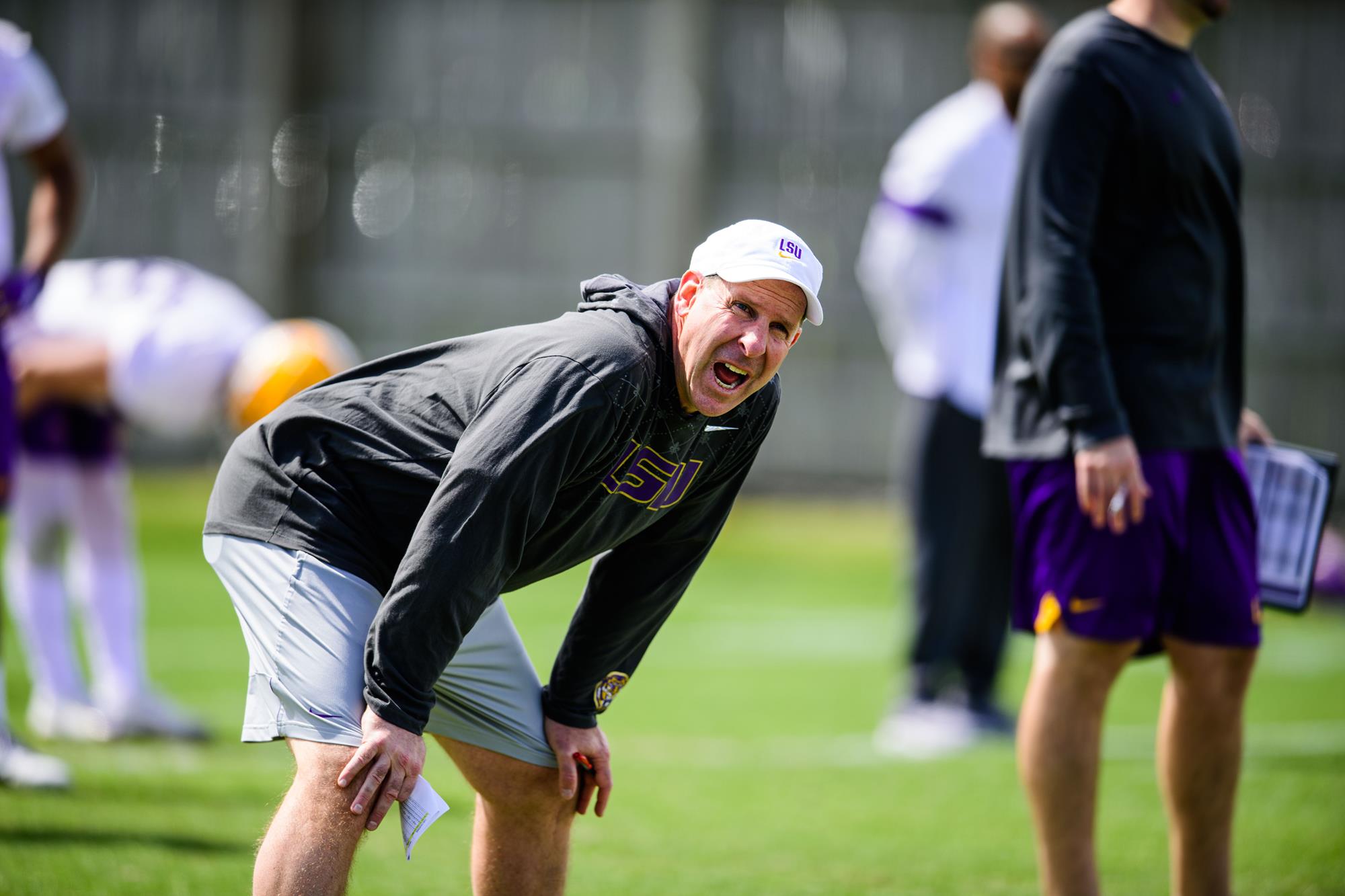 Bo pelini store lsu