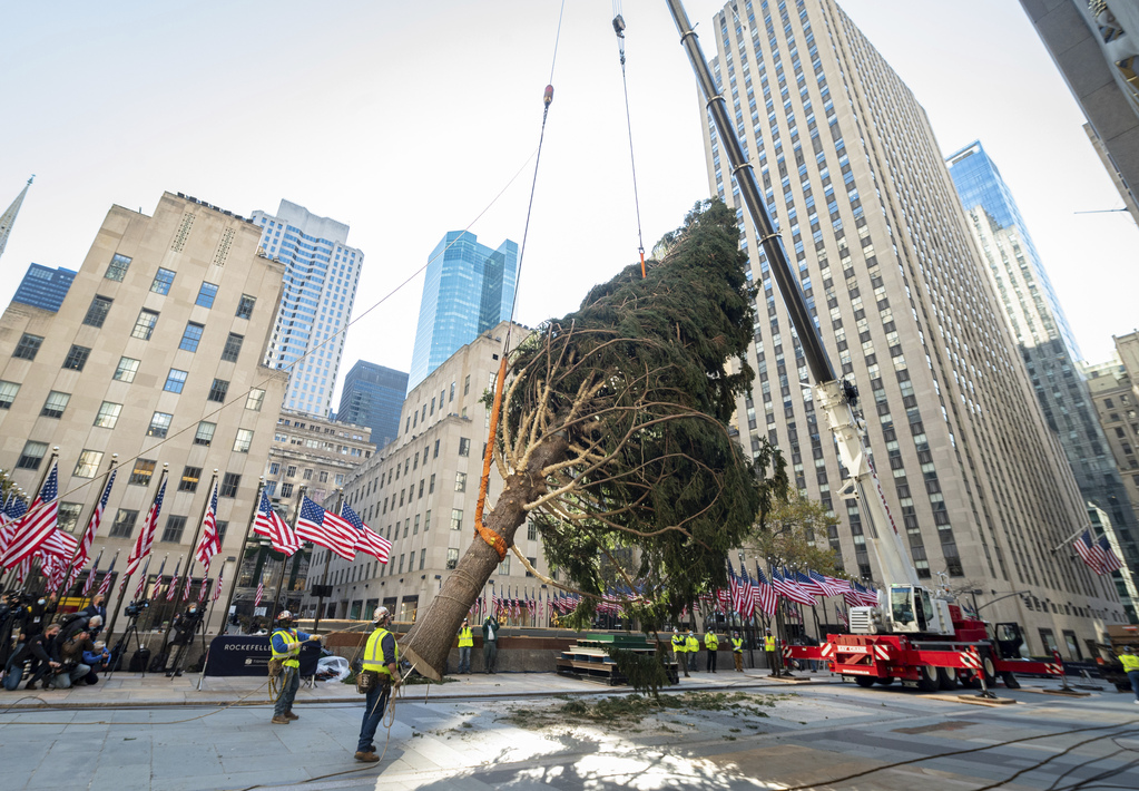 2020 Rockefeller Center Christmas Tree Arrives To Nyc Silive Com