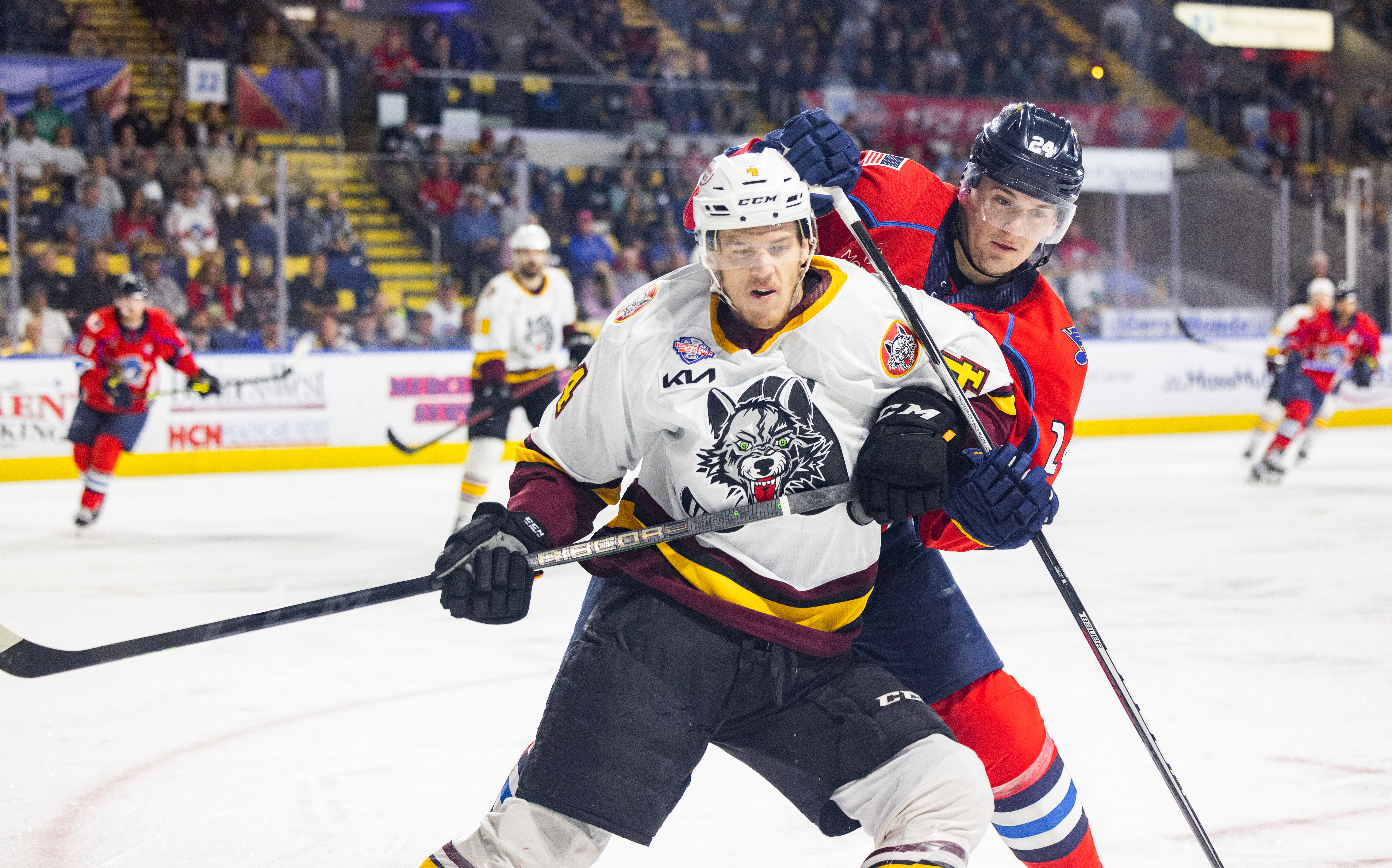 Wolves top Springfield for Calder Cup Championship