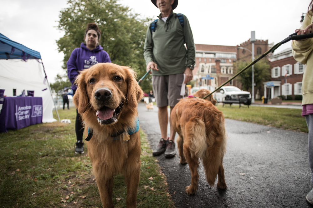 WoofStock festival in Harrisburg