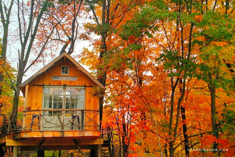 Maison dans les arbres près de Saratoga Springs