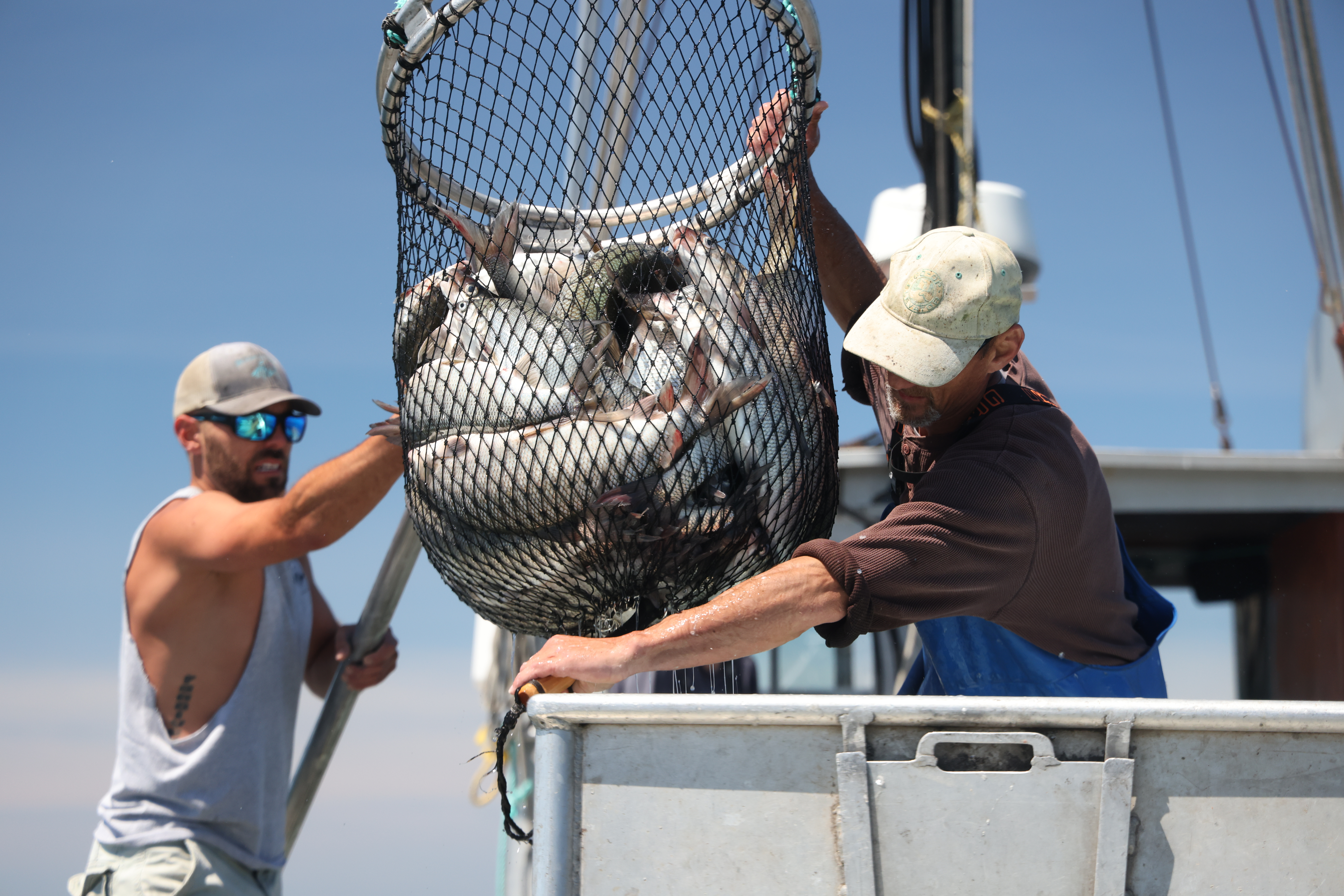 New Saginaw Bay reef creates fish spawning habitat - mlive.com